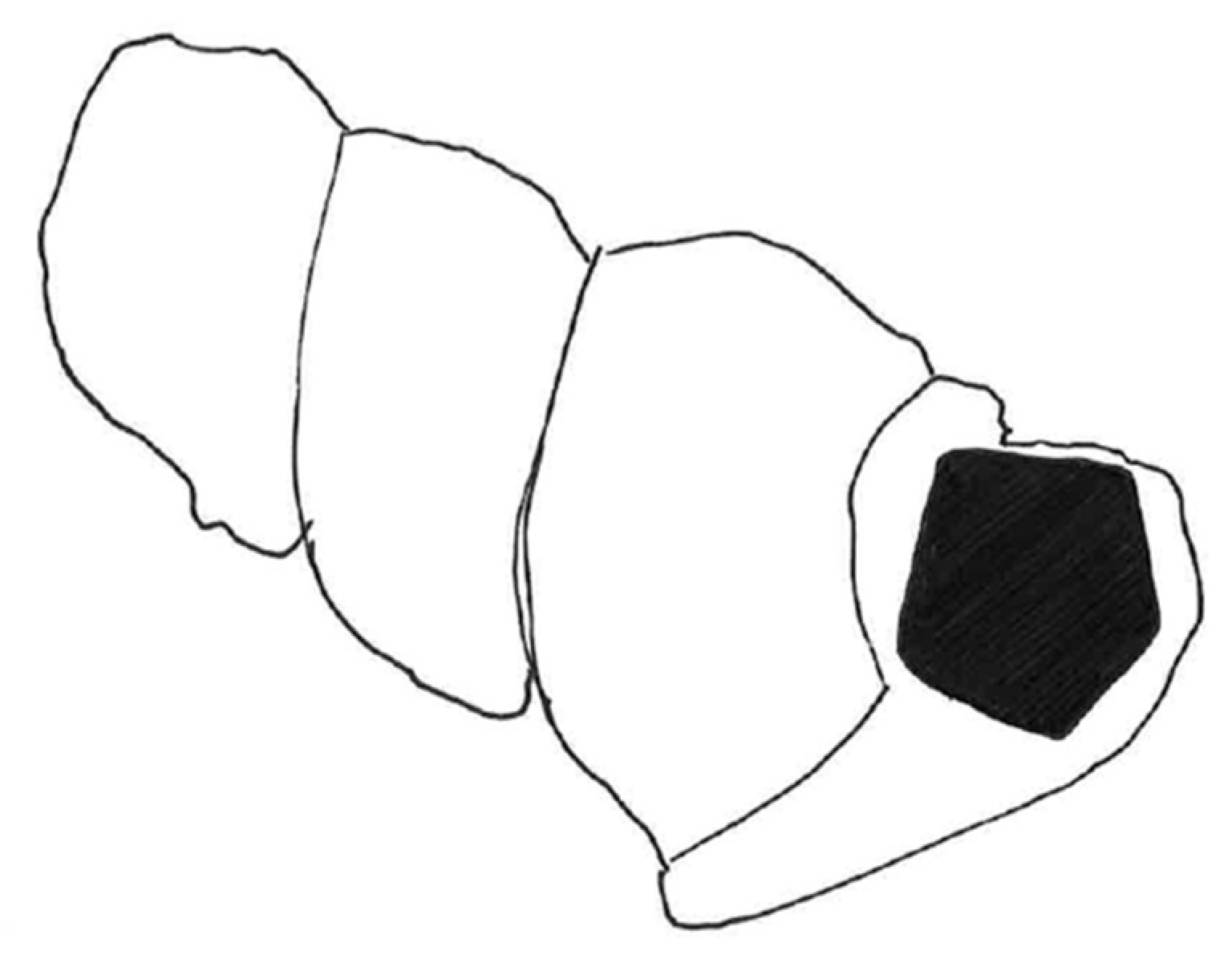 Geosciences 13 00080 g011