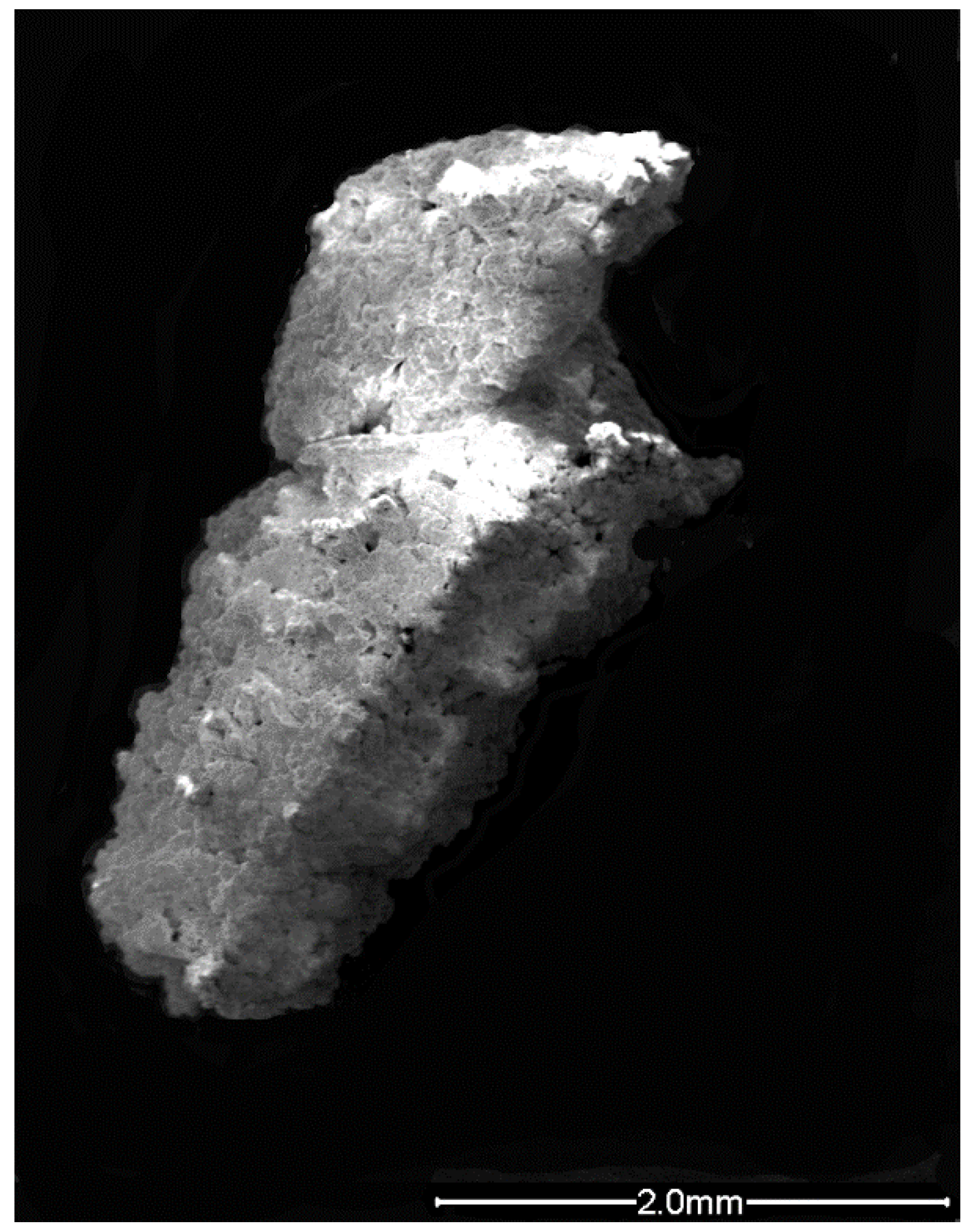 Geosciences 13 00080 g012