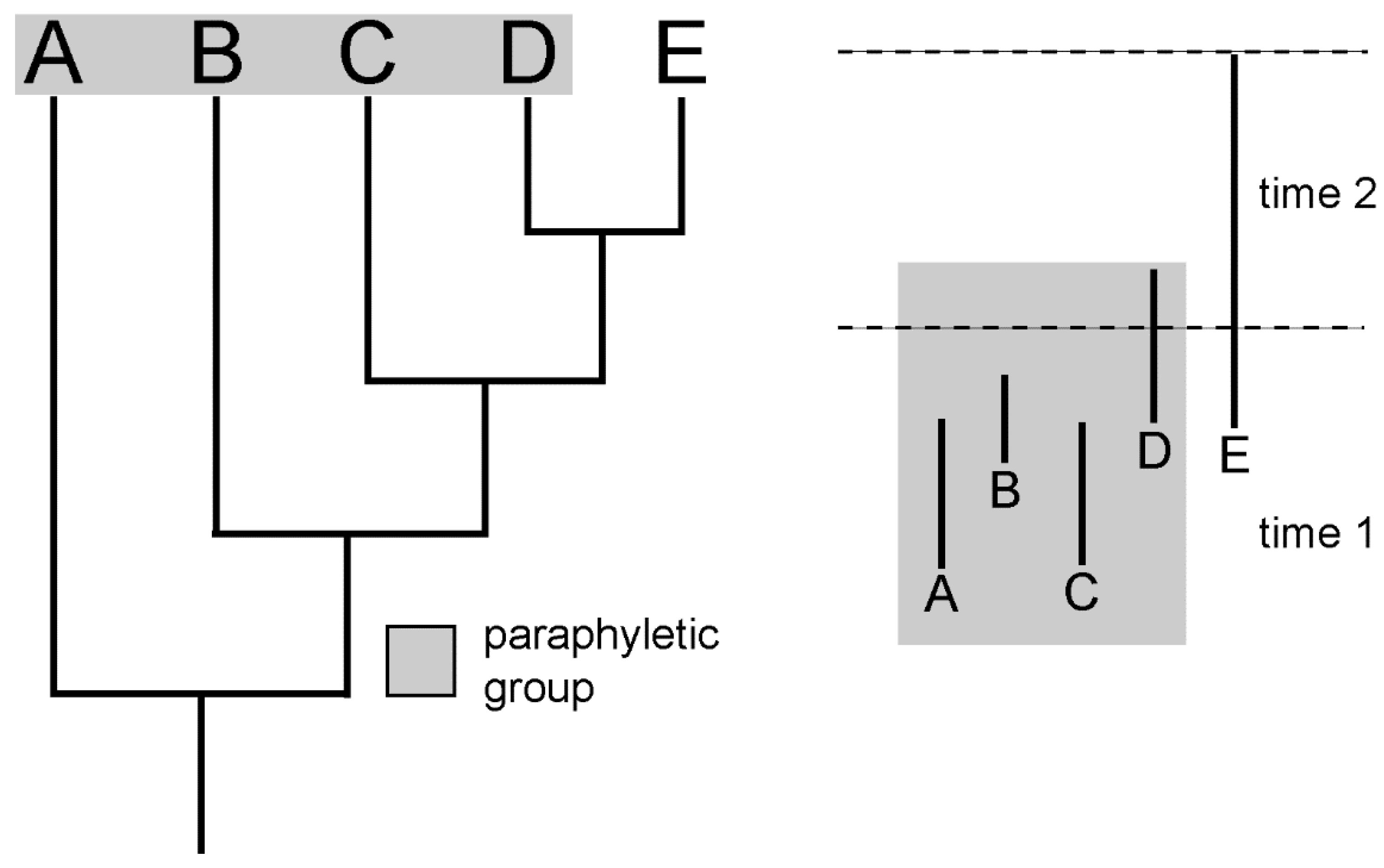 Geosciences 13 00086 g002