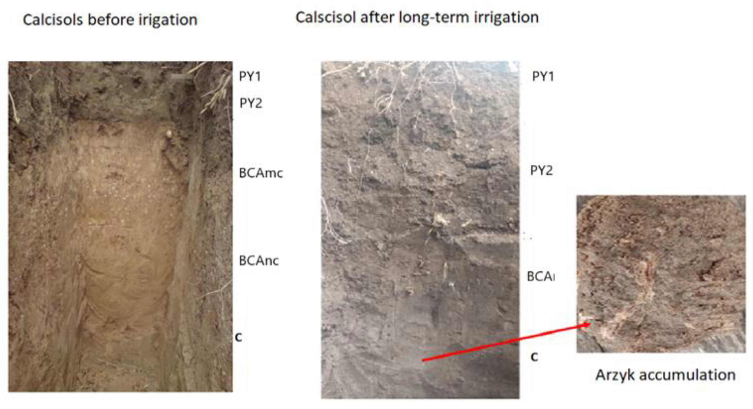 Geosciences 13 00090 g002