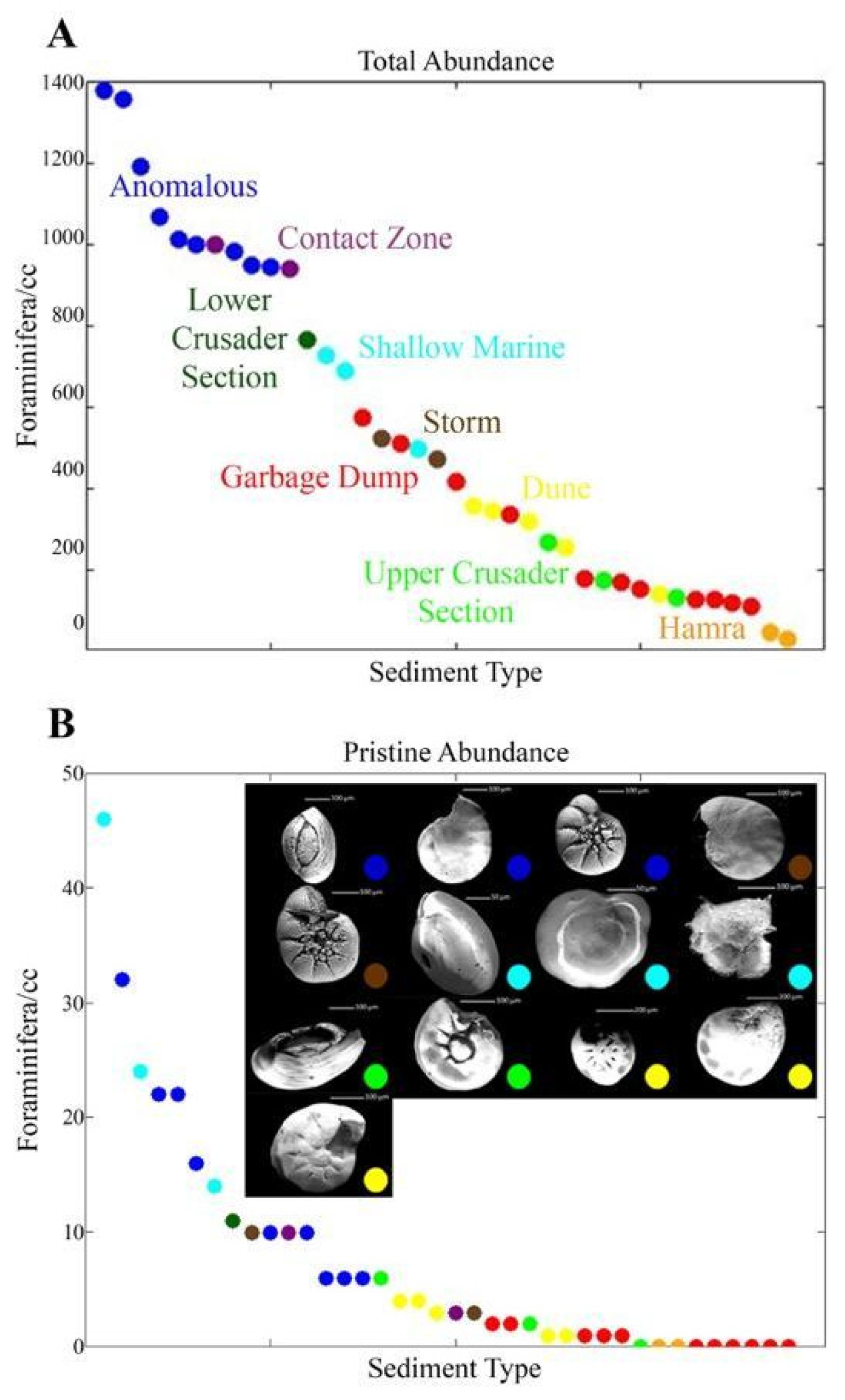 Geosciences 13 00108 g007