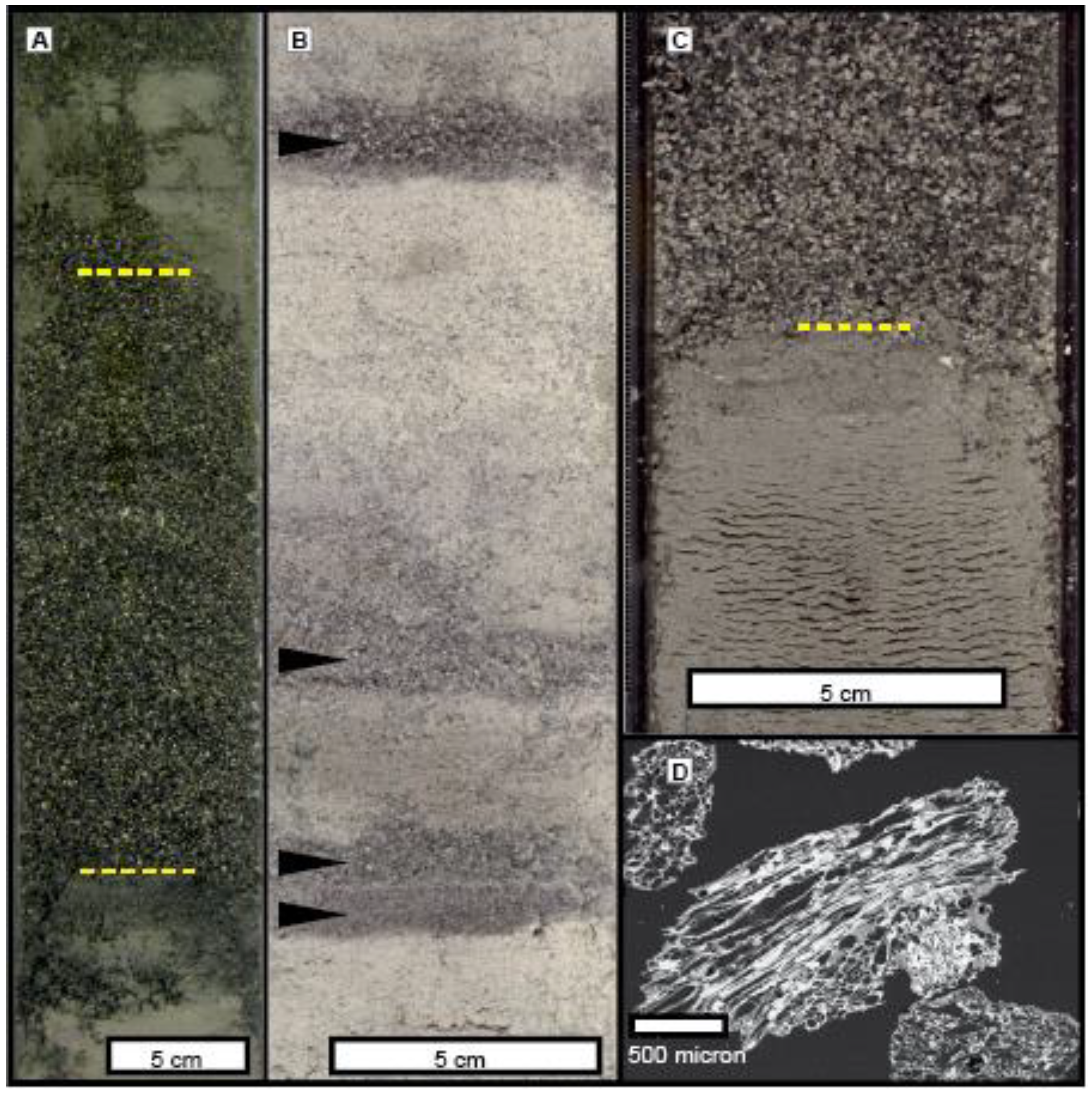 Geosciences 13 00124 g003 Geosciences 13 00124 g003