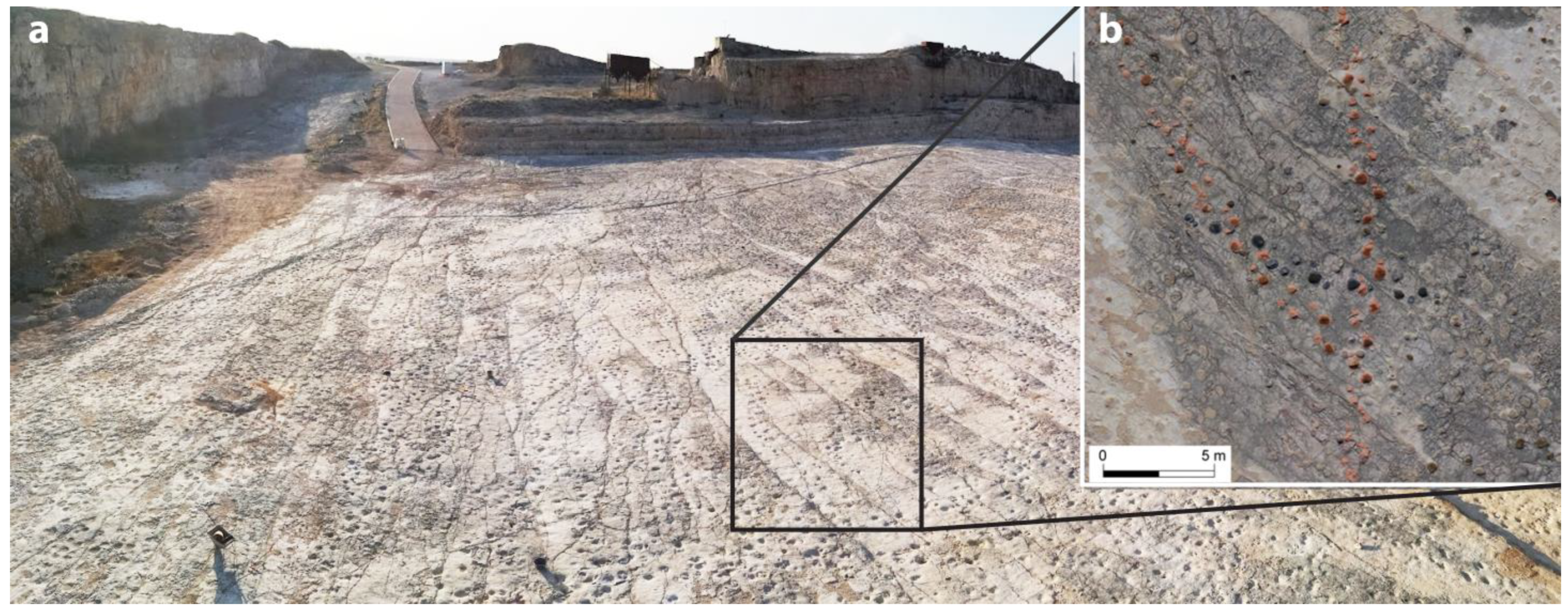 Geosciences 13 00131 g009