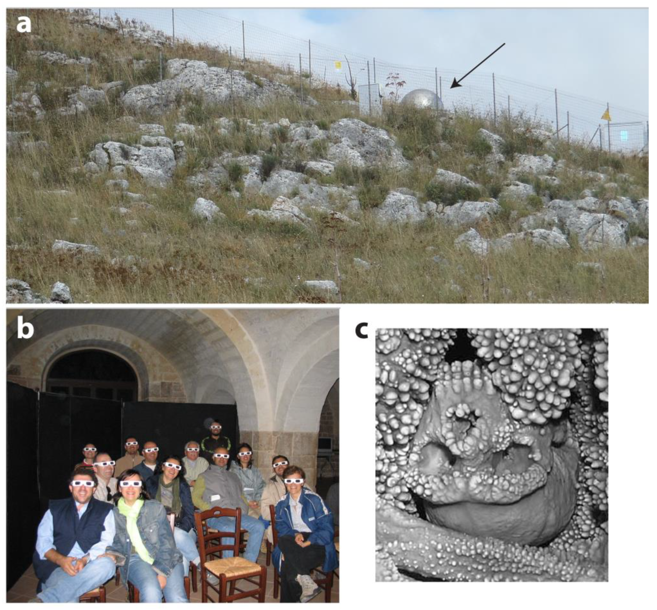 Geosciences 13 00131 g010