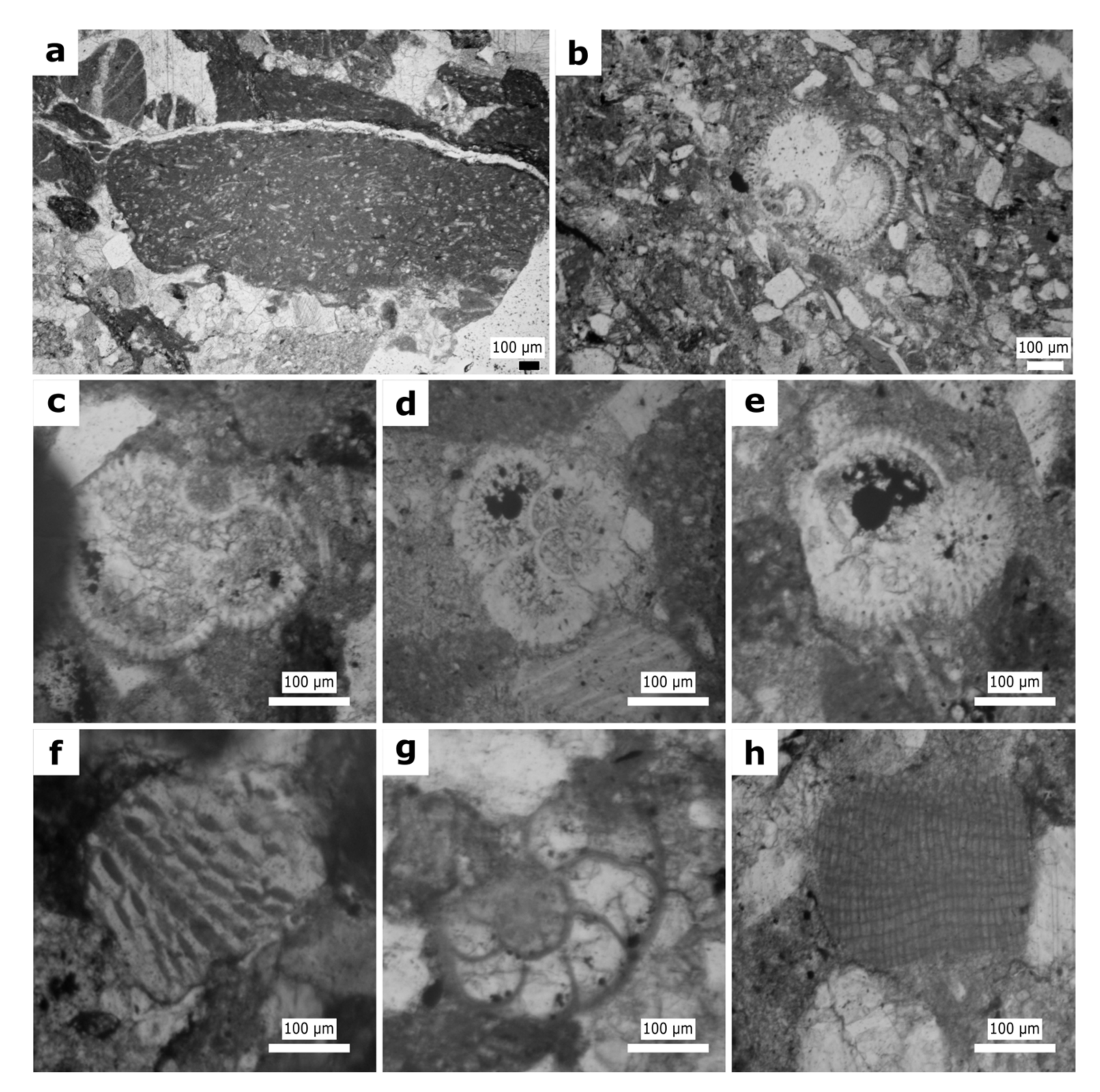 Geosciences 13 00154 g008 Geosciences 13 00154 g008