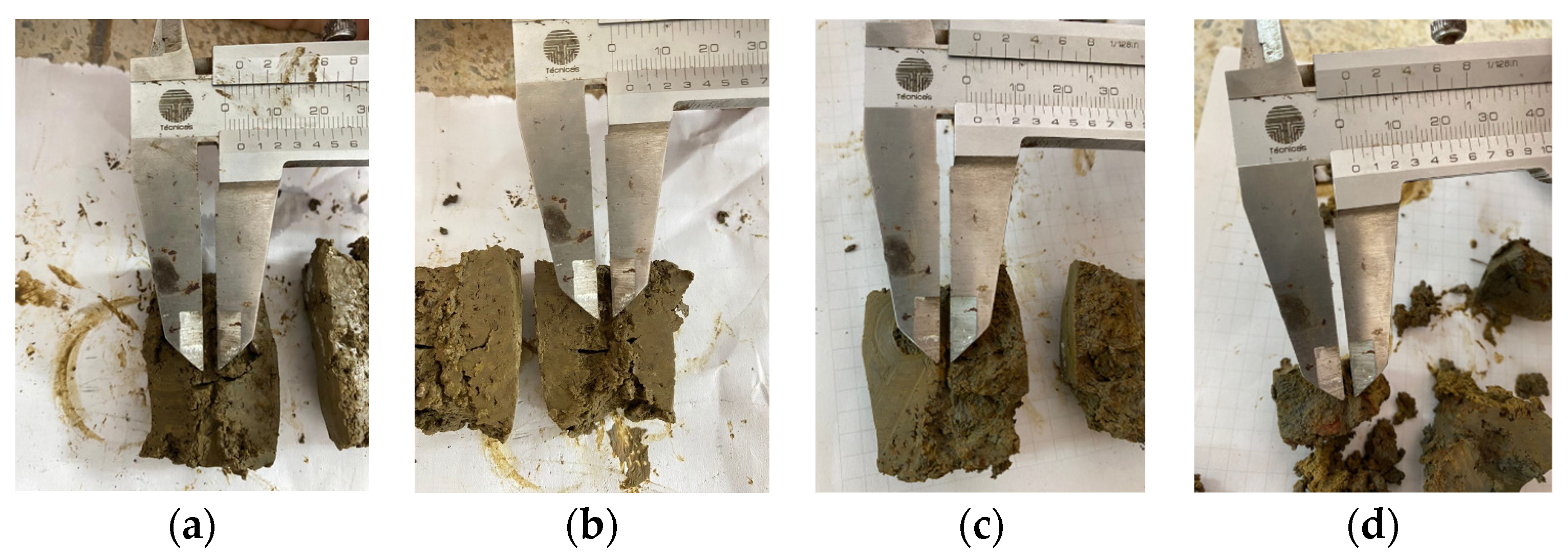 Geosciences 13 00162 g010