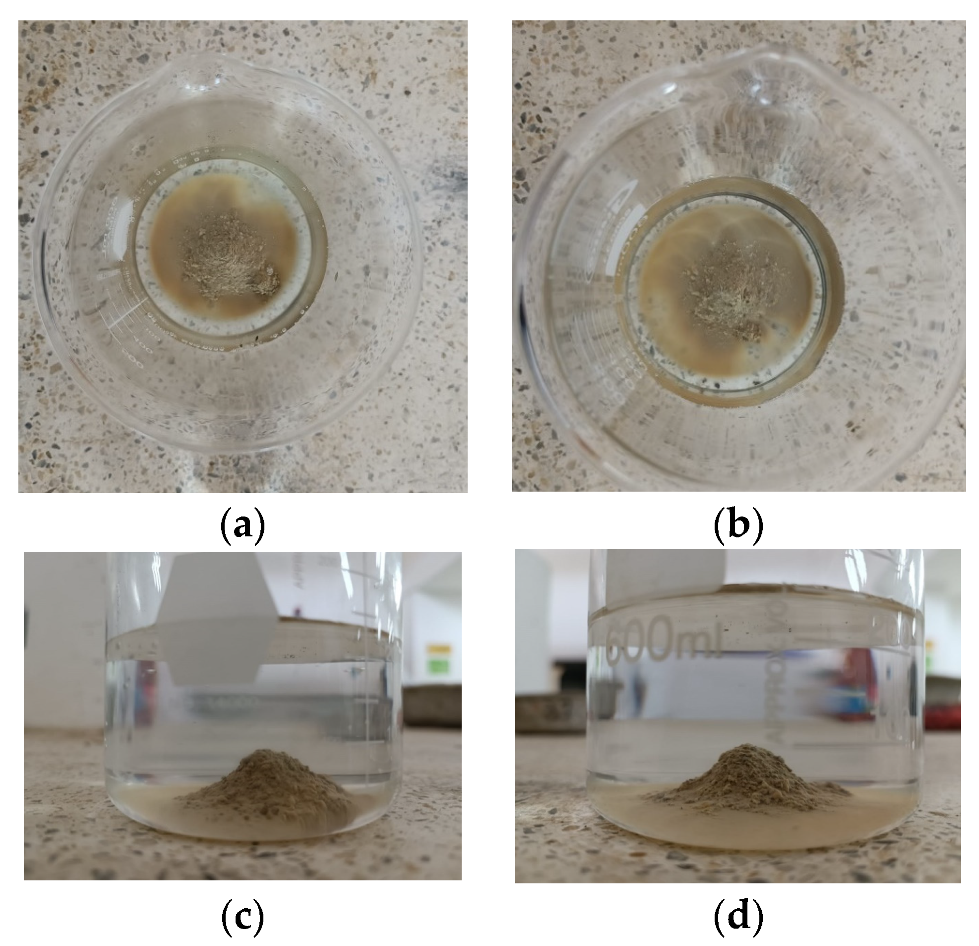 Geosciences 13 00162 g011