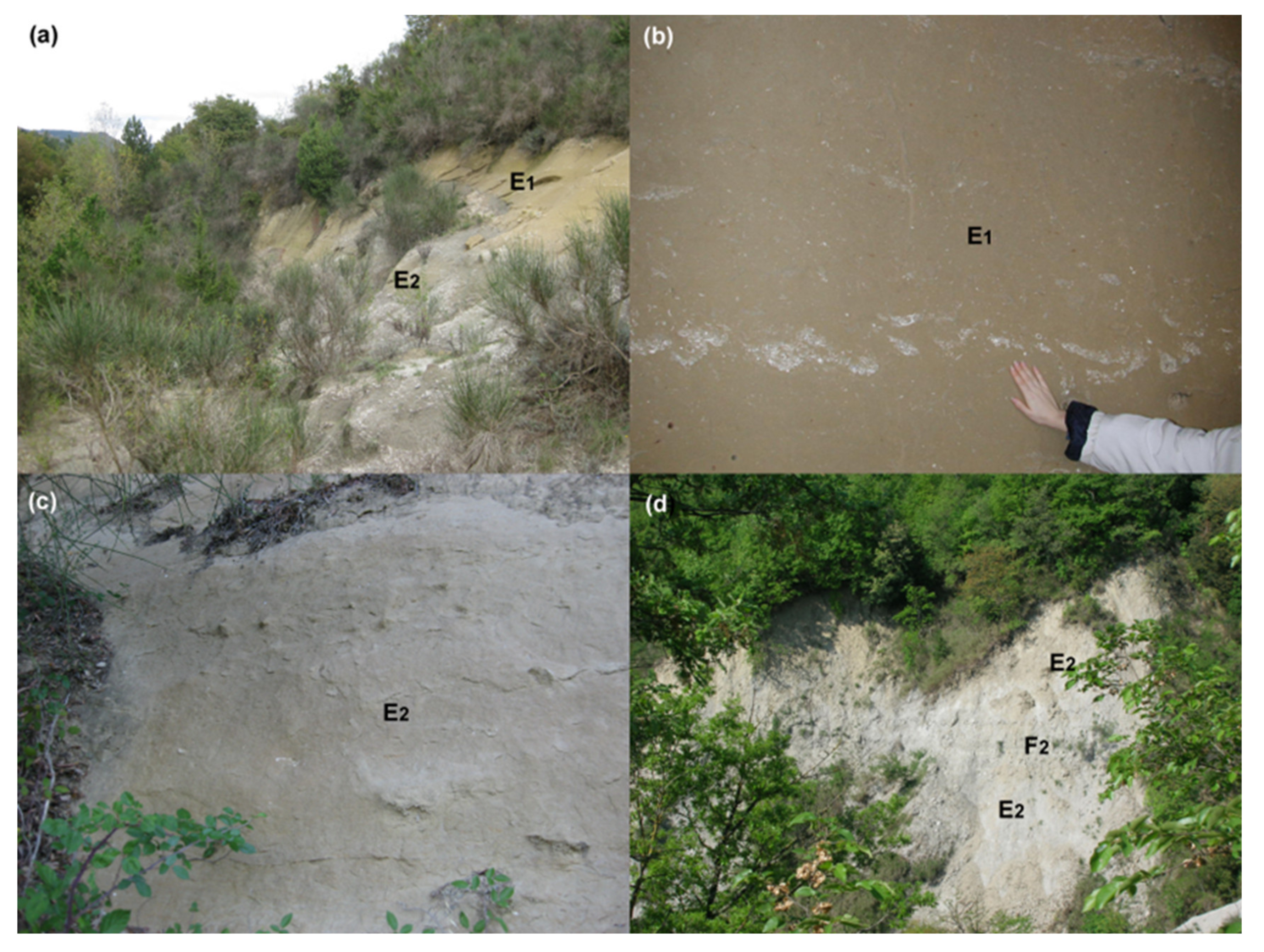 Geosciences 13 00163 g005