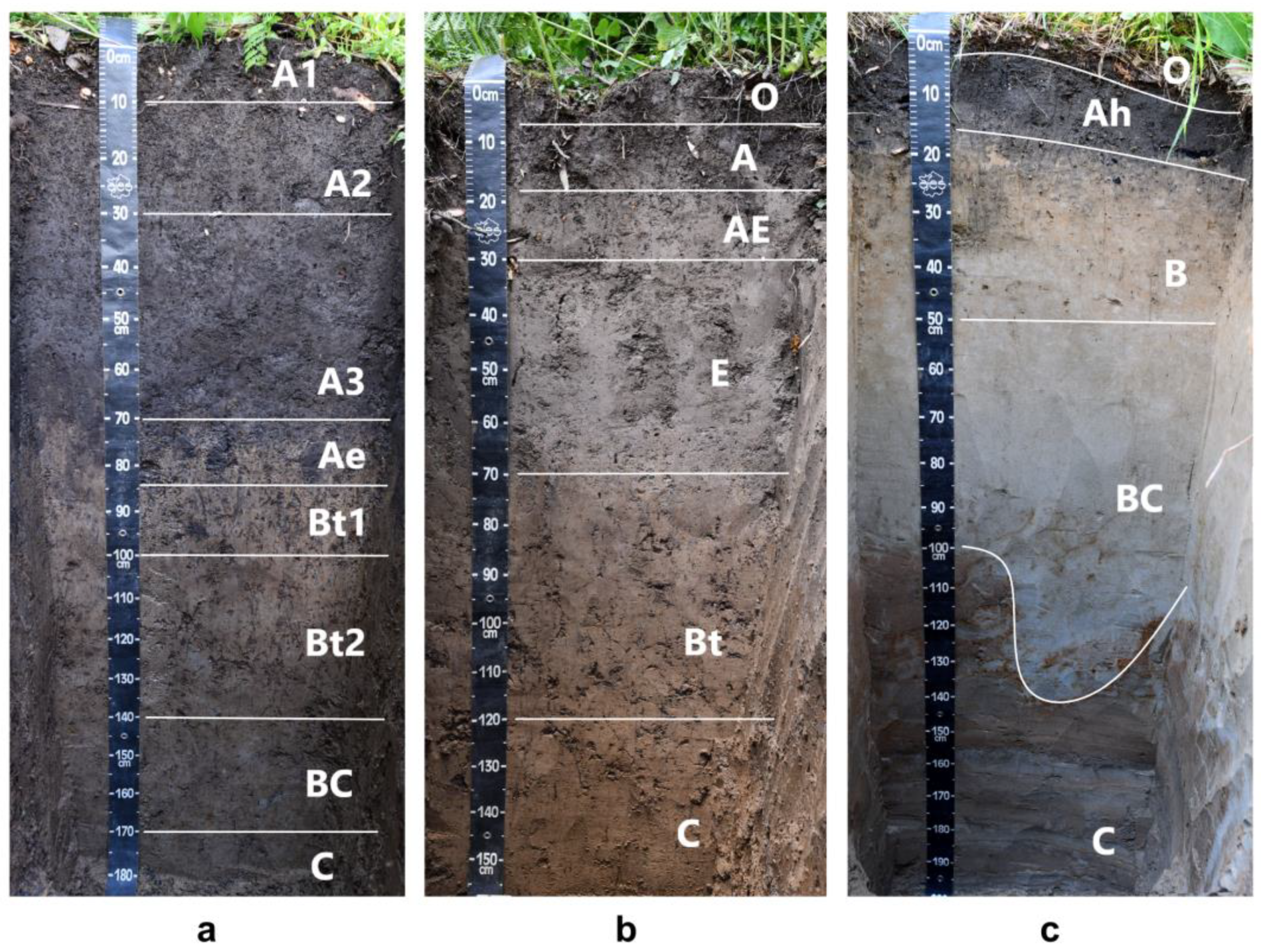 Geosciences 13 00186 g003