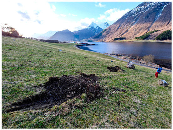 Geosciences 13 00200 g0a9