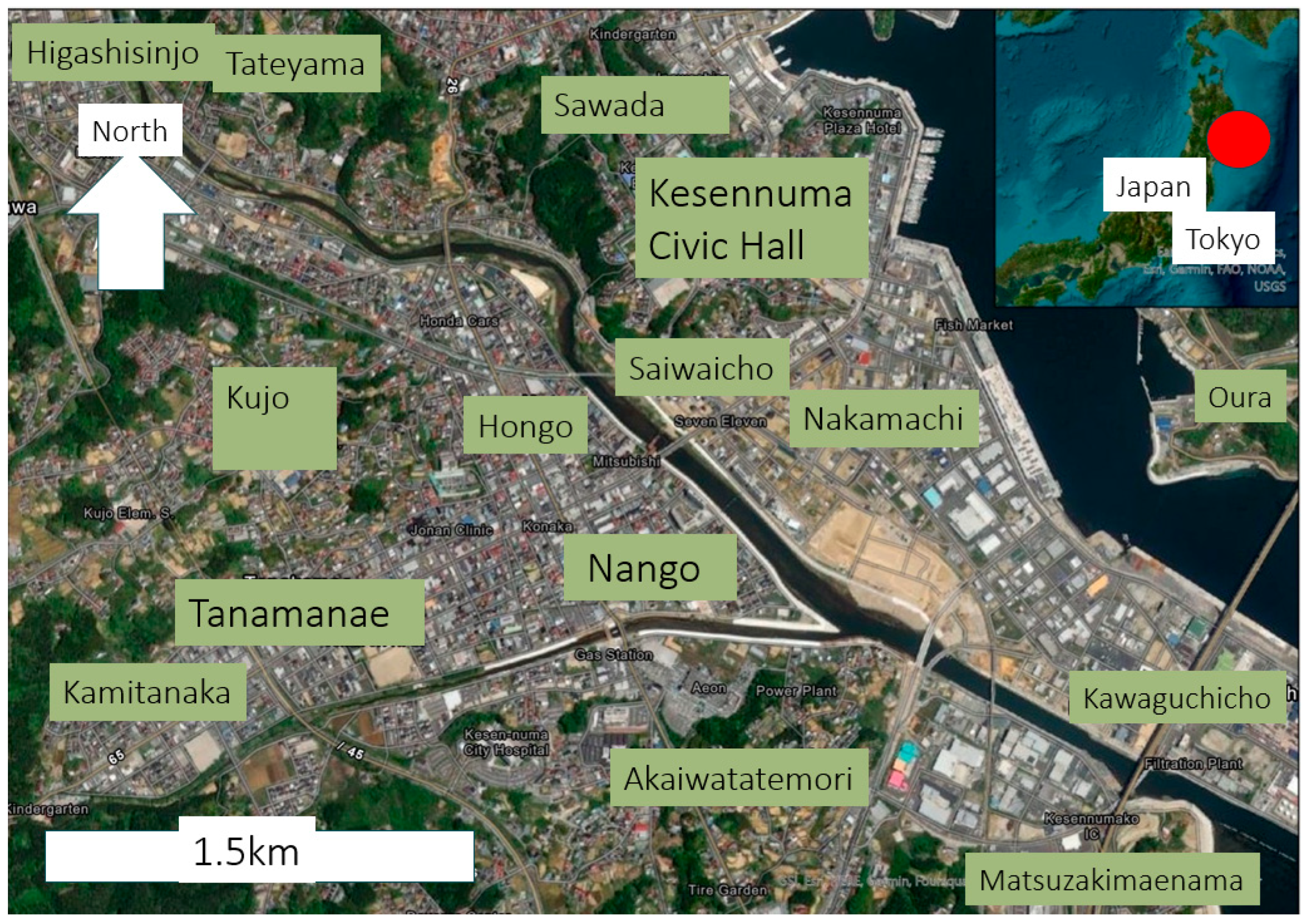 Geosciences 13 00203 g008