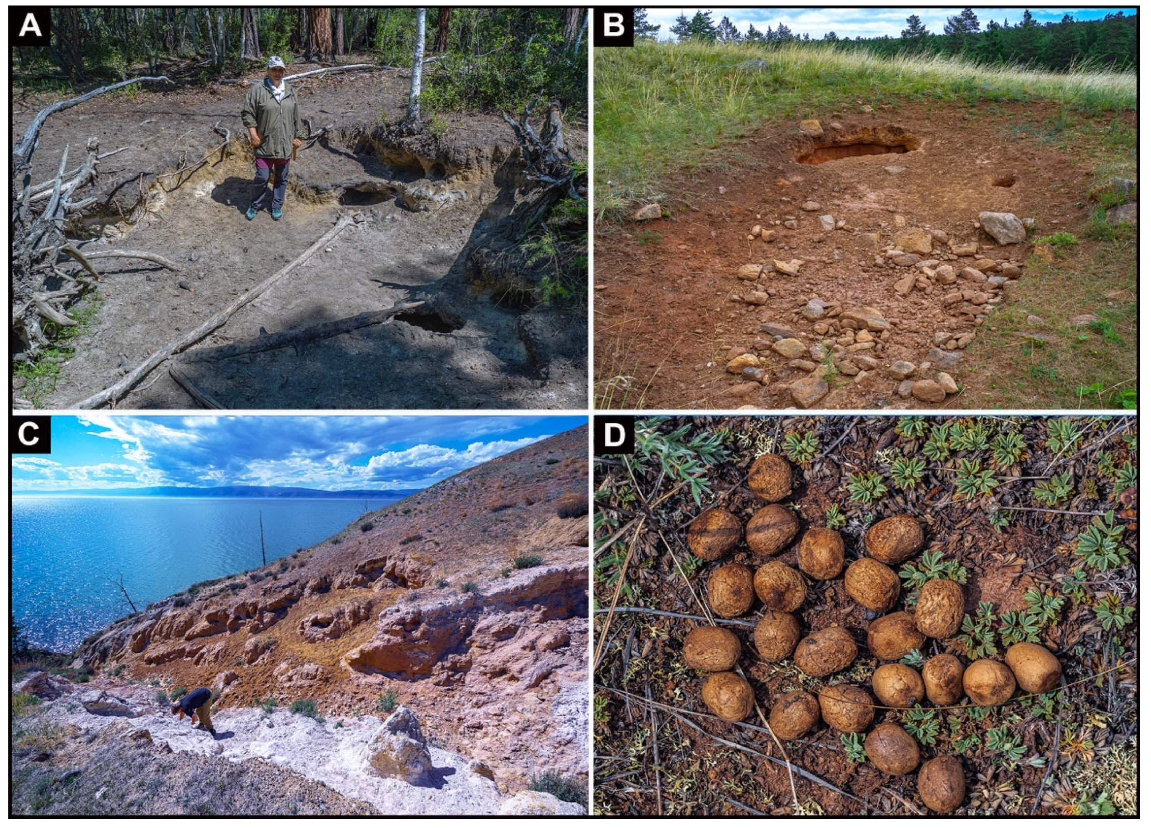 Geosciences 13 00211 g002 Geosciences 13 00211 g002