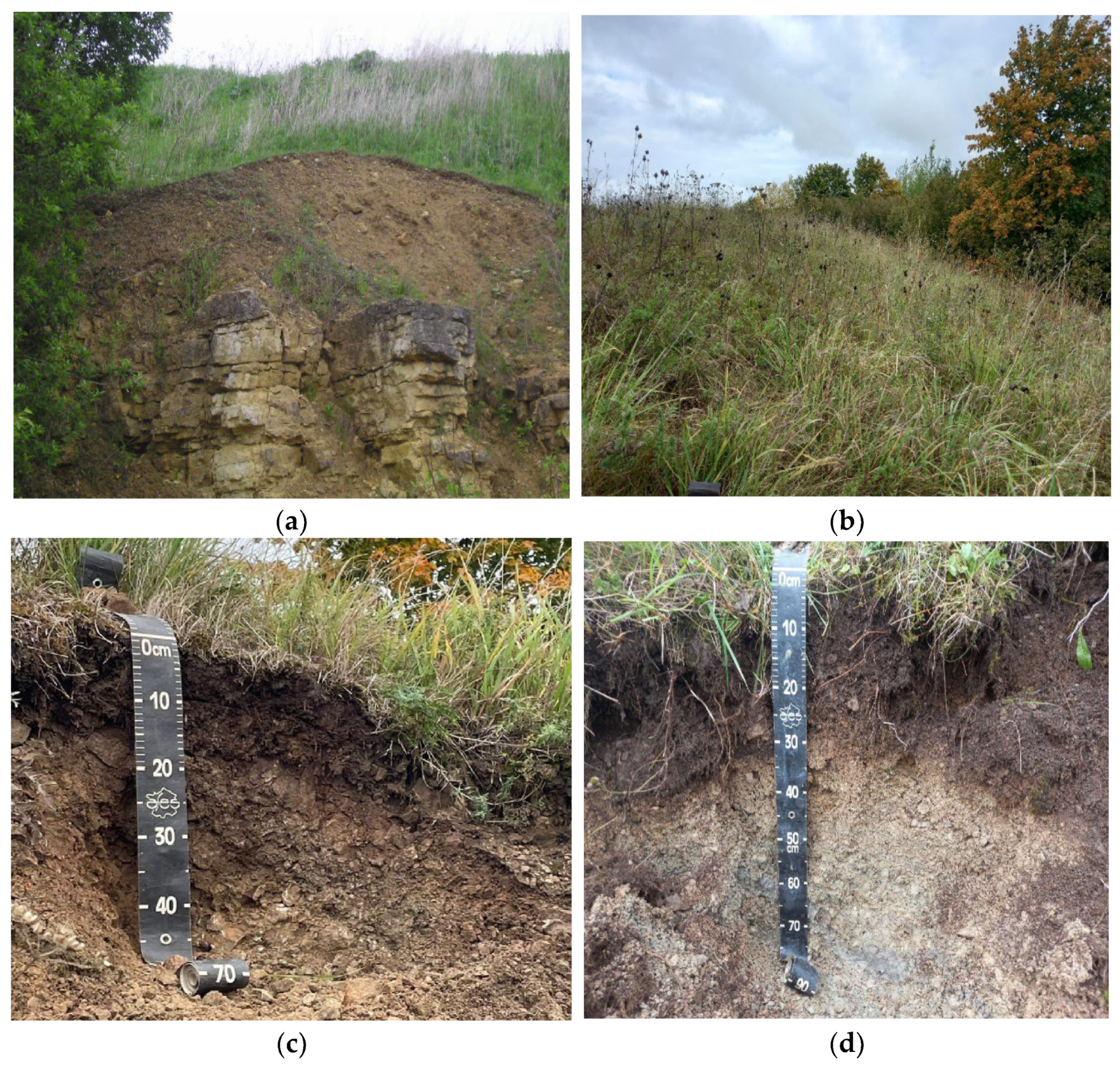 Geosciences 13 00216 g002a
