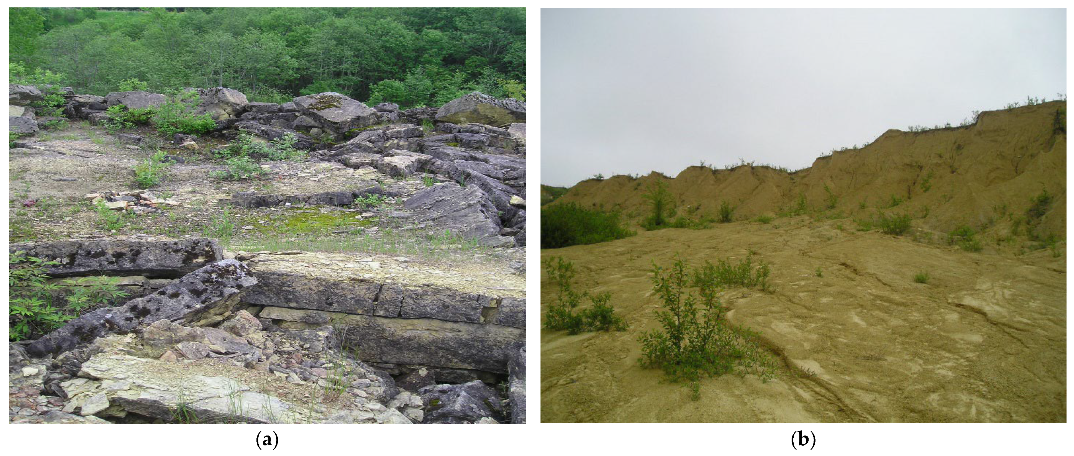 Geosciences 13 00216 g003a