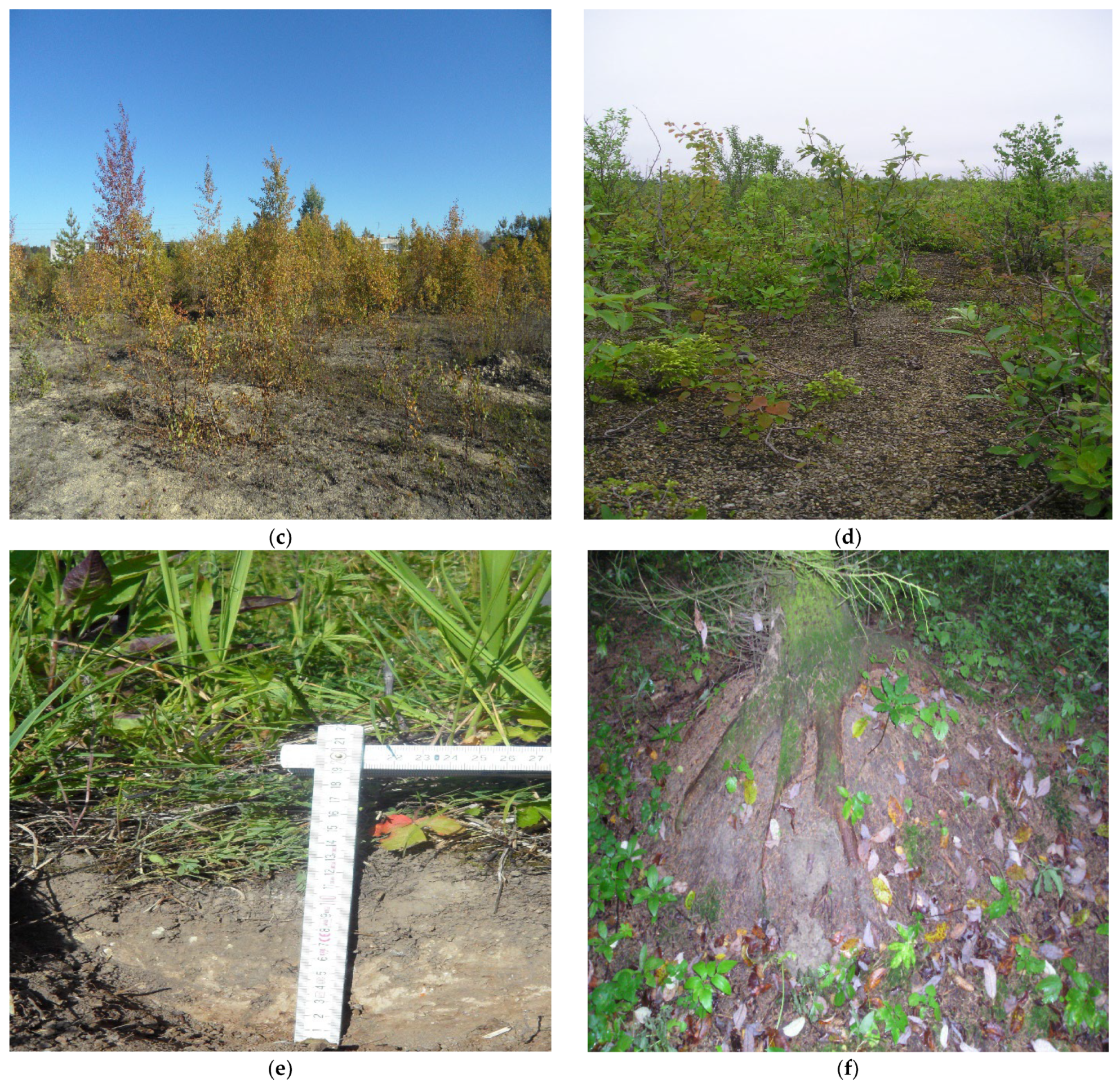 Geosciences 13 00216 g003b