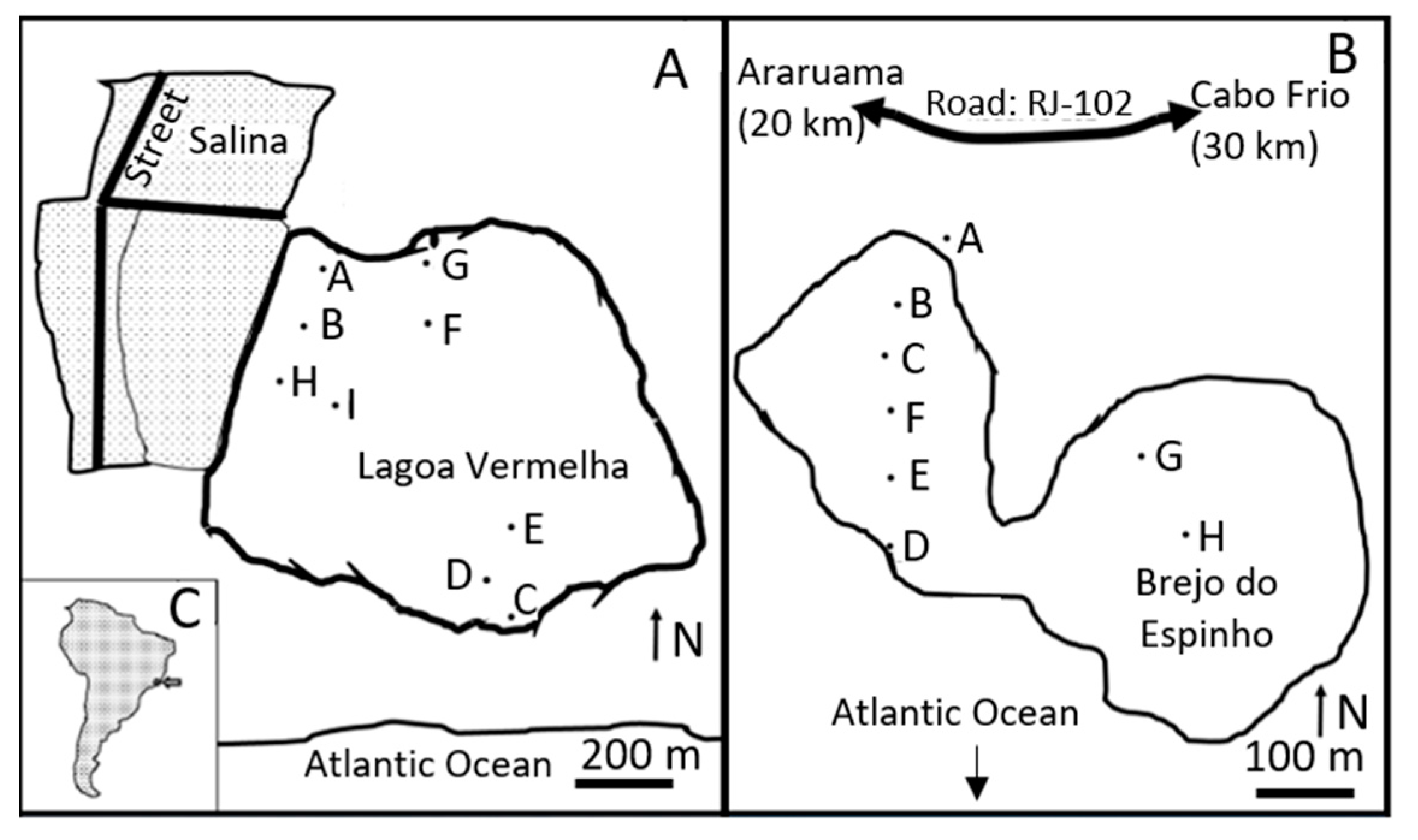 Geosciences 13 00229 g001