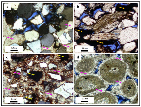 Geosciences 13 00239 g022