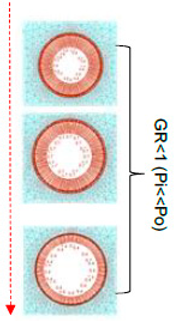 Geosciences 13 00244 i008