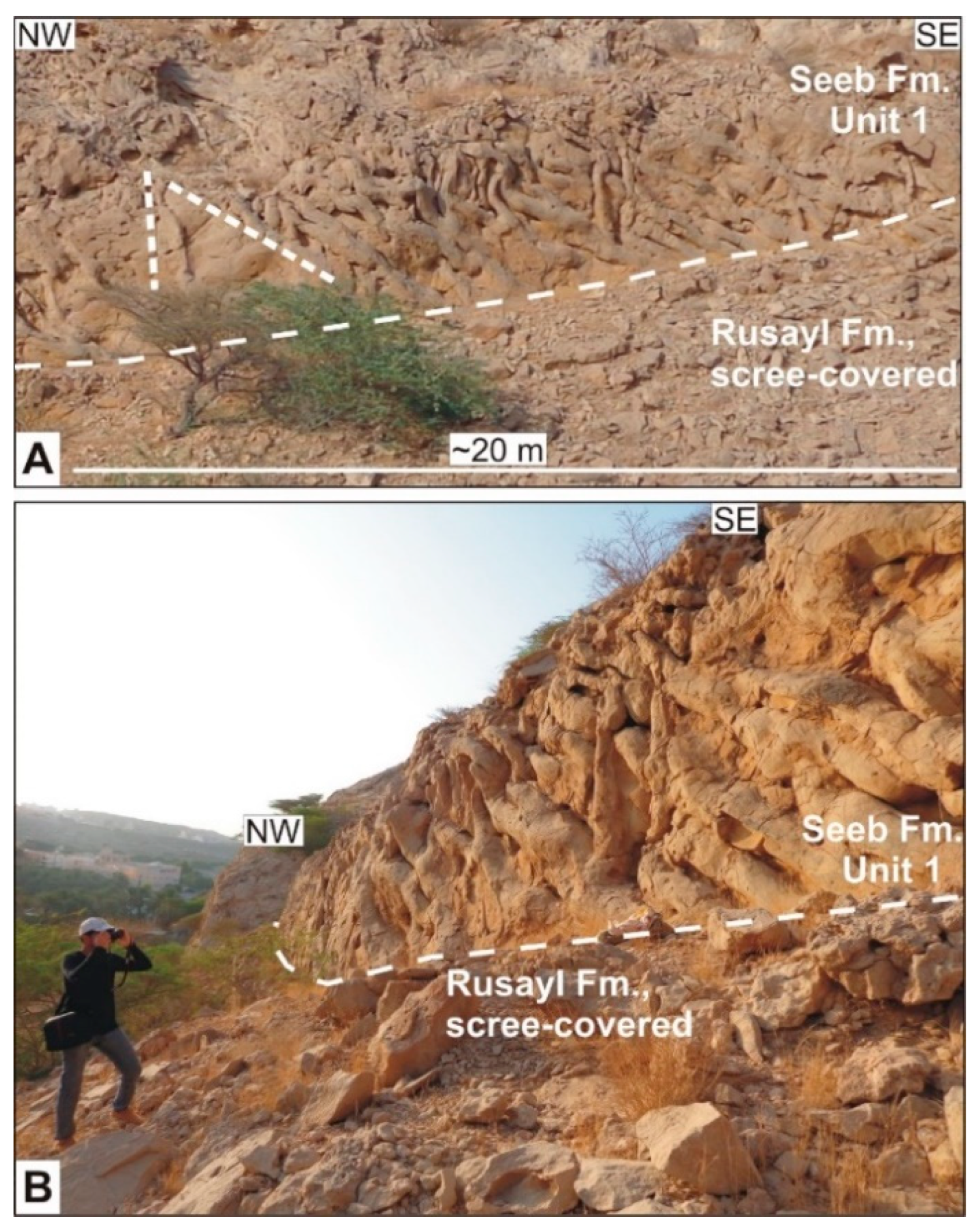 Geosciences 13 00254 g008