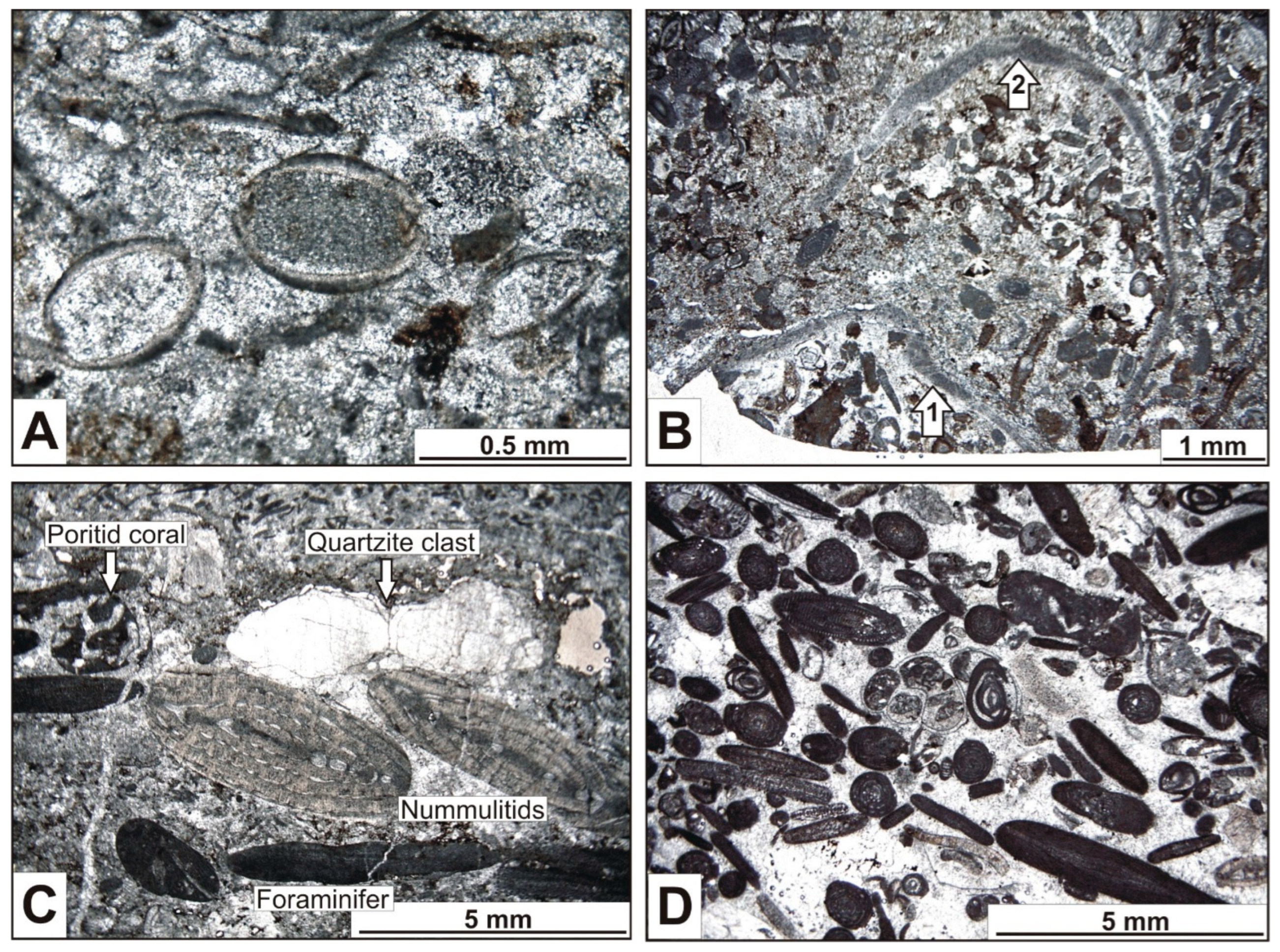 Geosciences 13 00254 g013