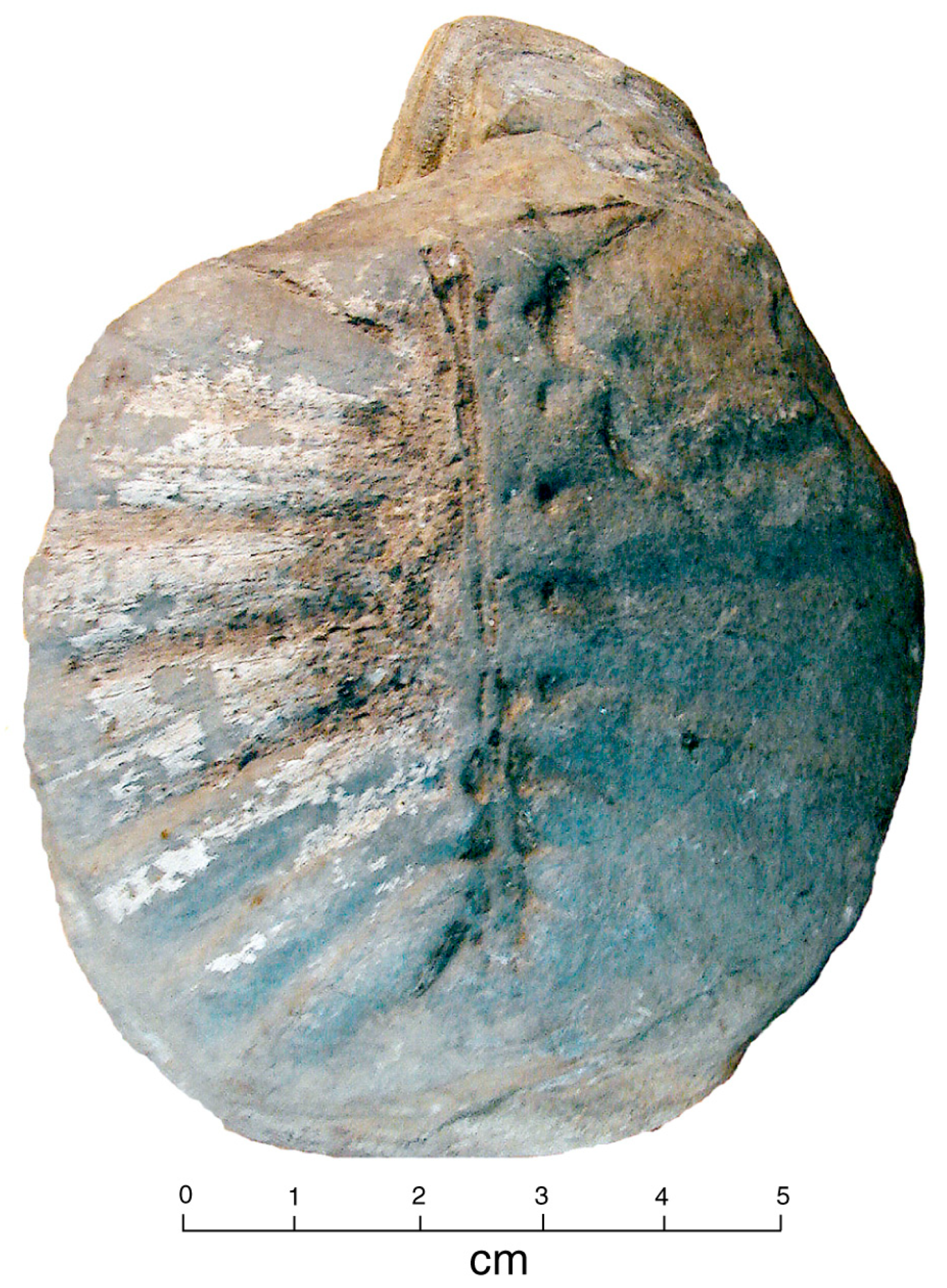 Geosciences 13 00255 g006