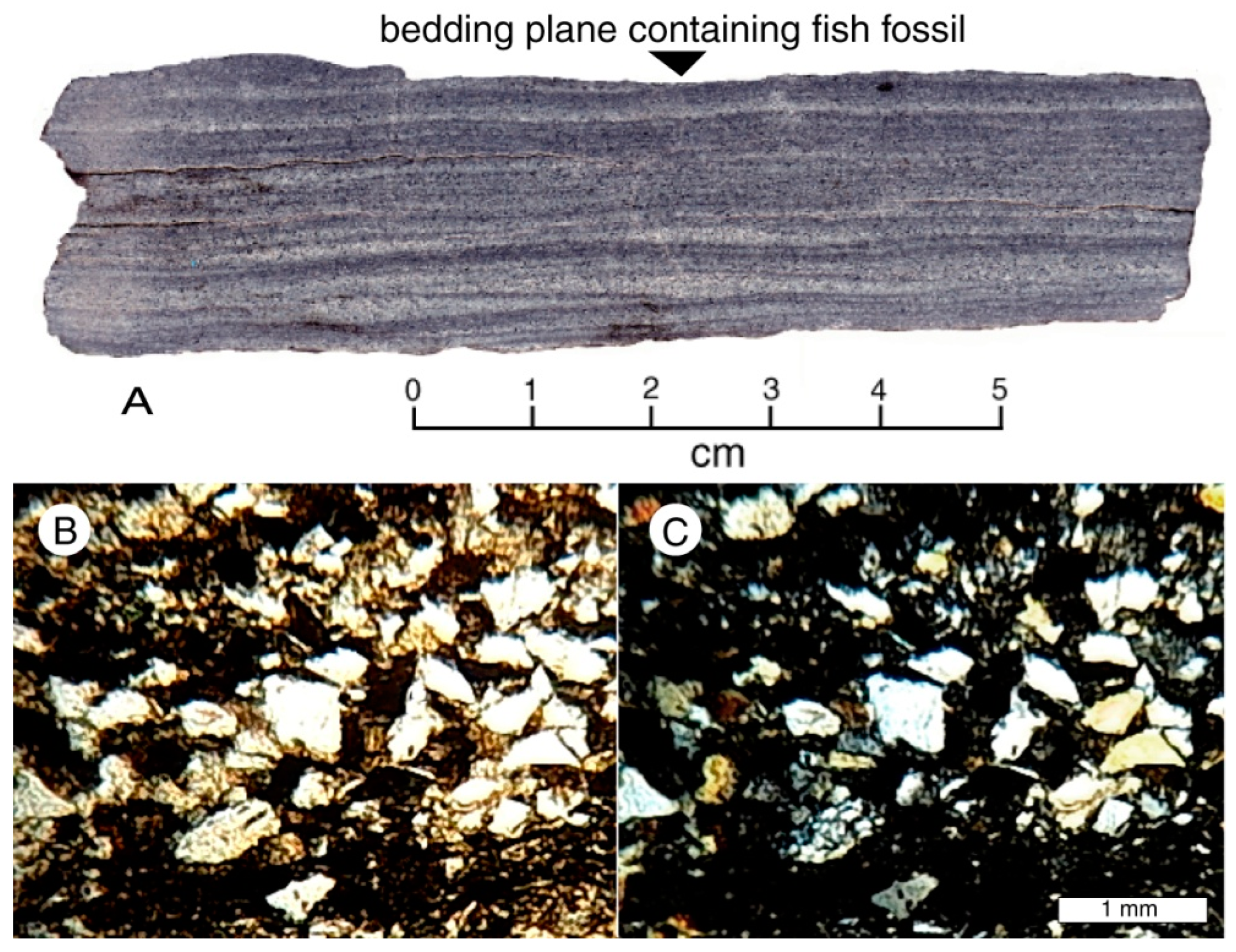Geosciences 13 00255 g013