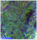 Geosciences 13 00263 i006