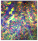 Geosciences 13 00263 i010