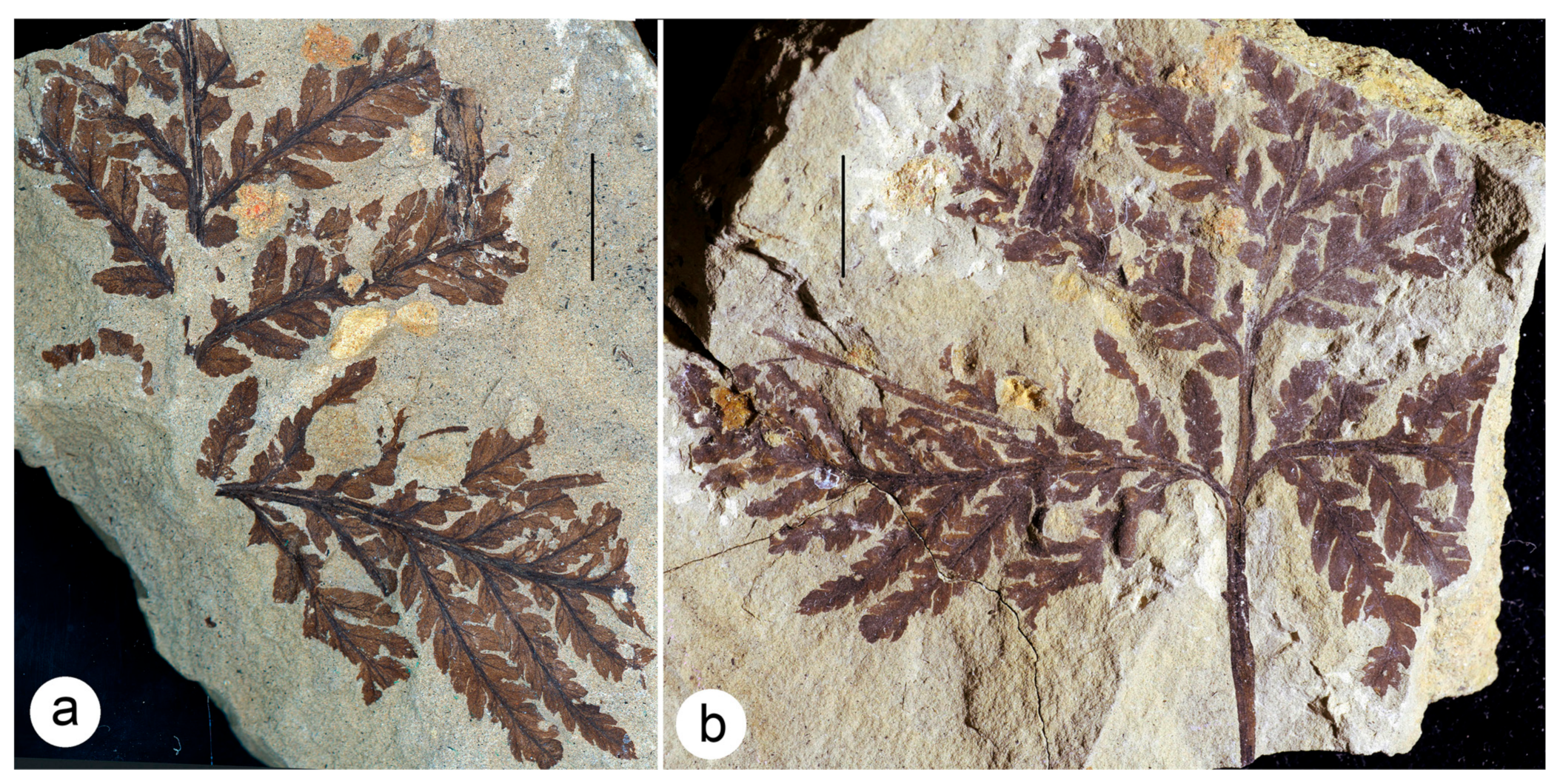 Geosciences 13 00279 g012