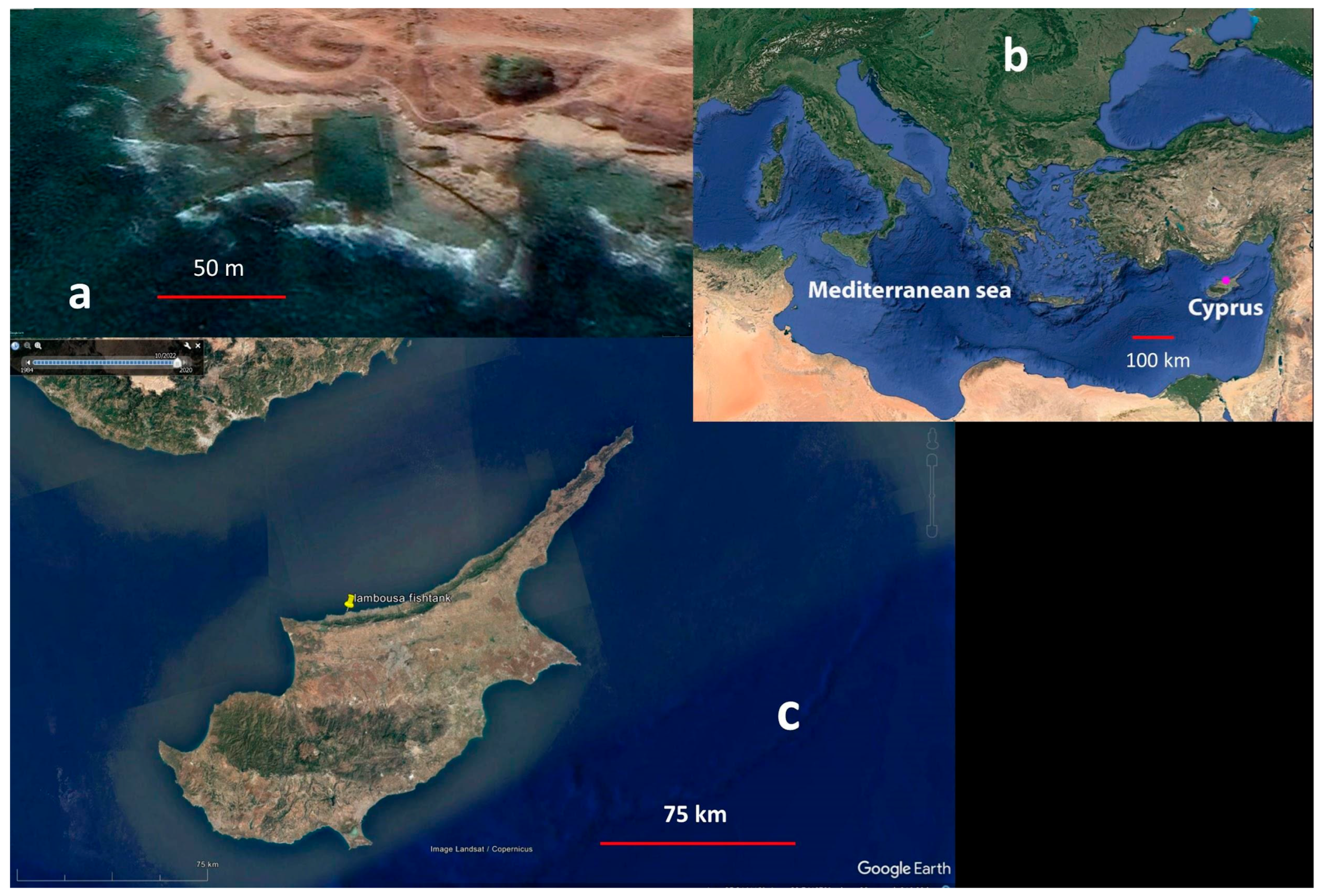 Geosciences 13 00280 g001