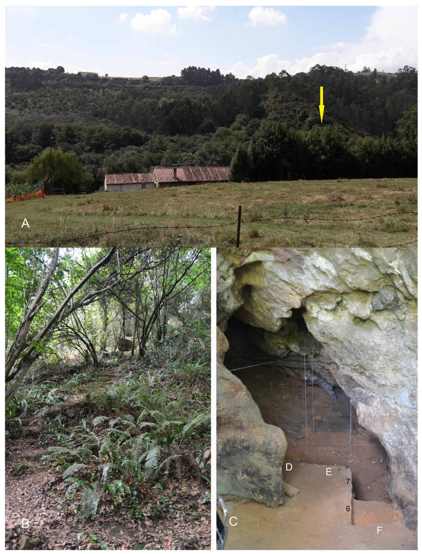 Geosciences 13 00301 g002