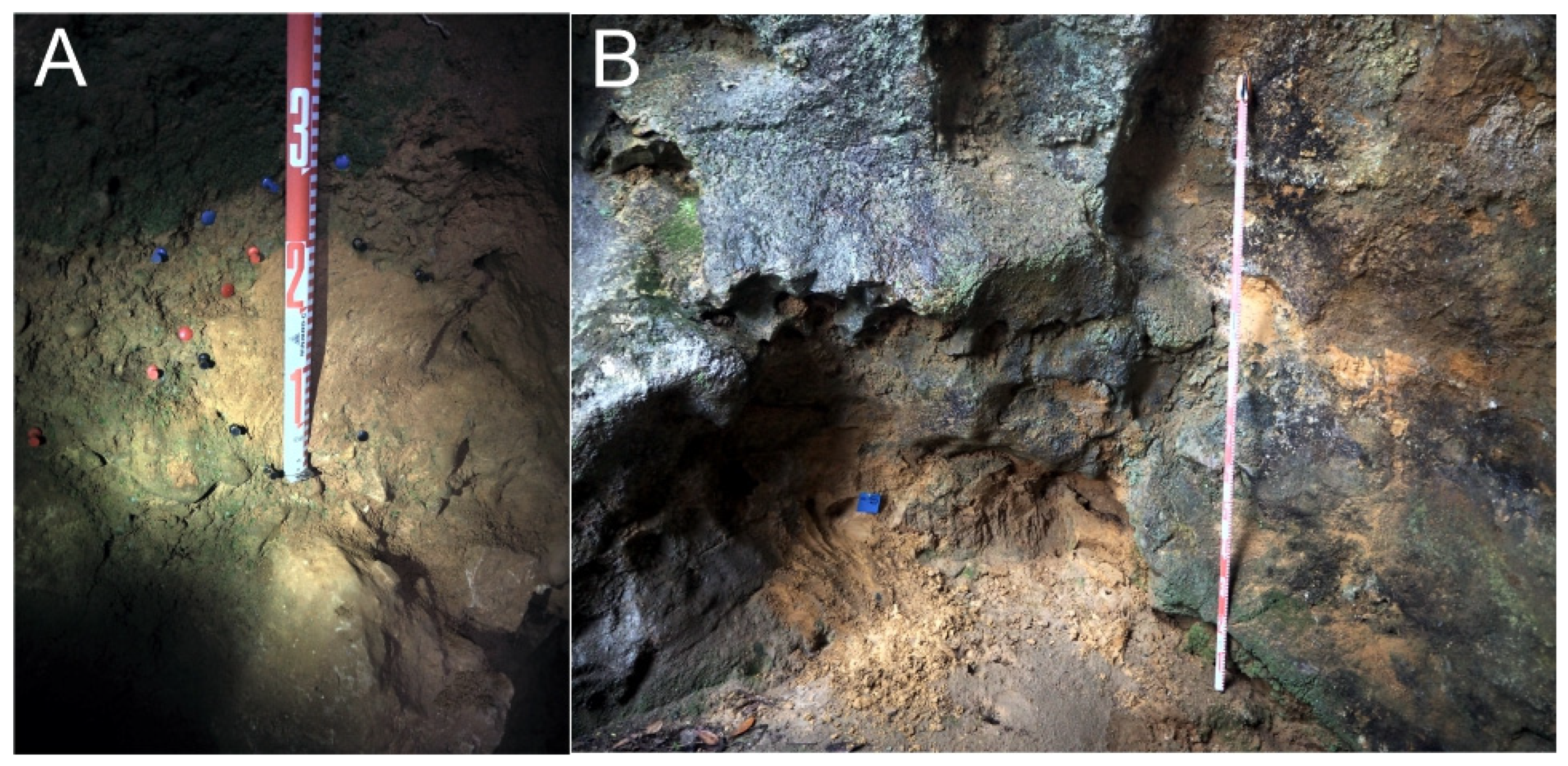 Geosciences 13 00301 g008