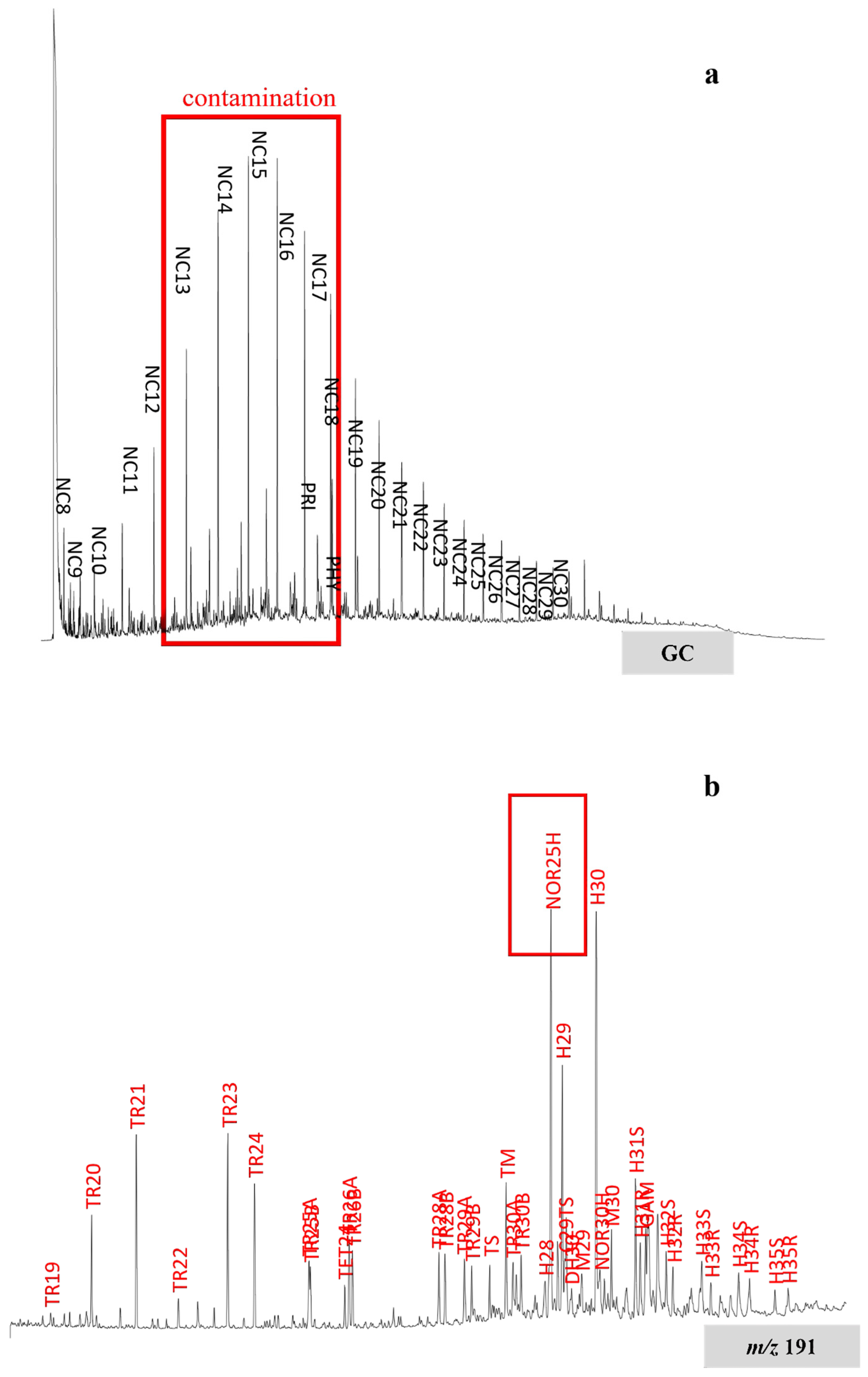 Geosciences 13 00321 g006