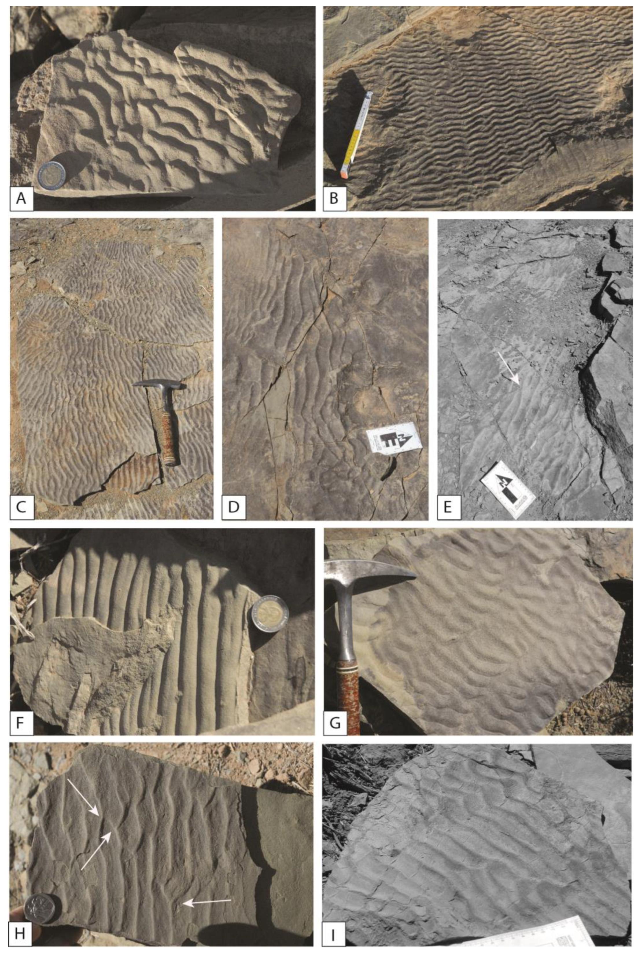 Geosciences 13 00325 g004