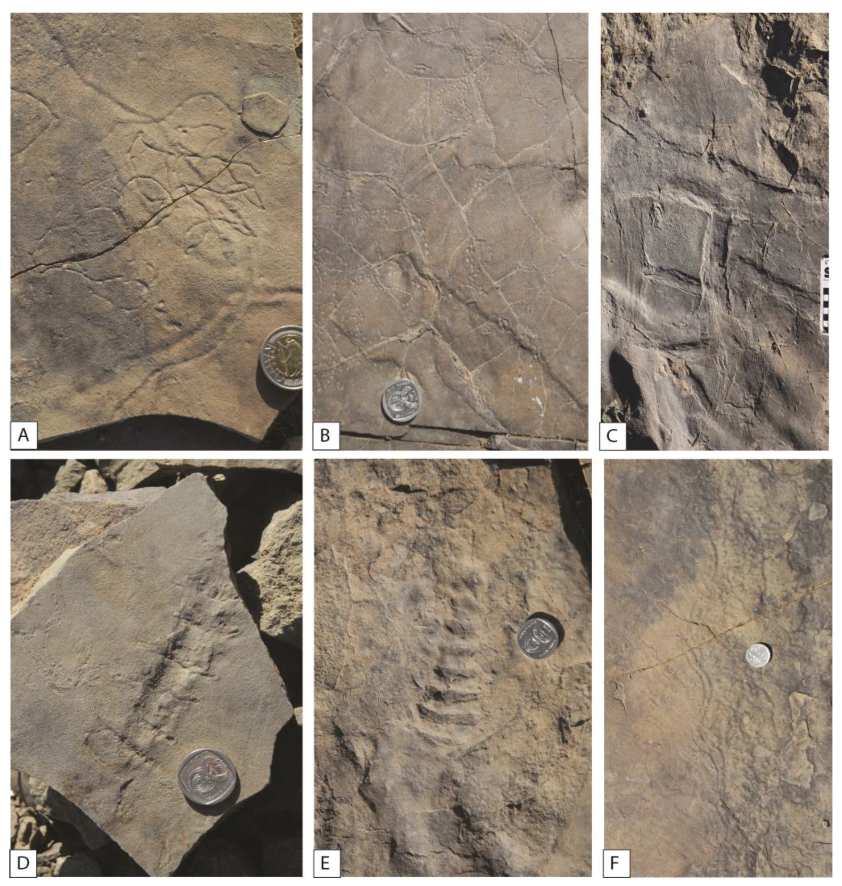 Geosciences 13 00325 g009