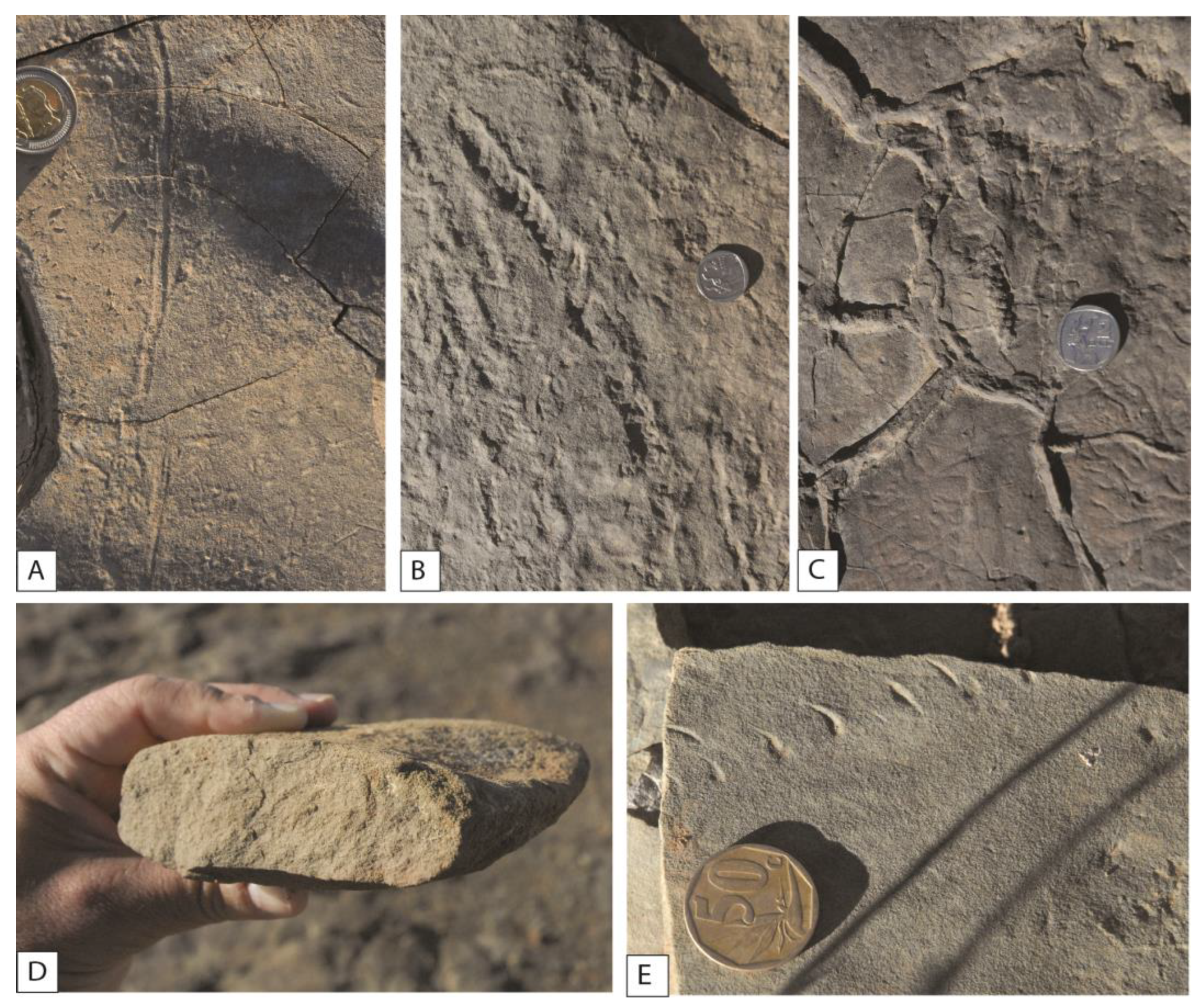 Geosciences 13 00325 g010