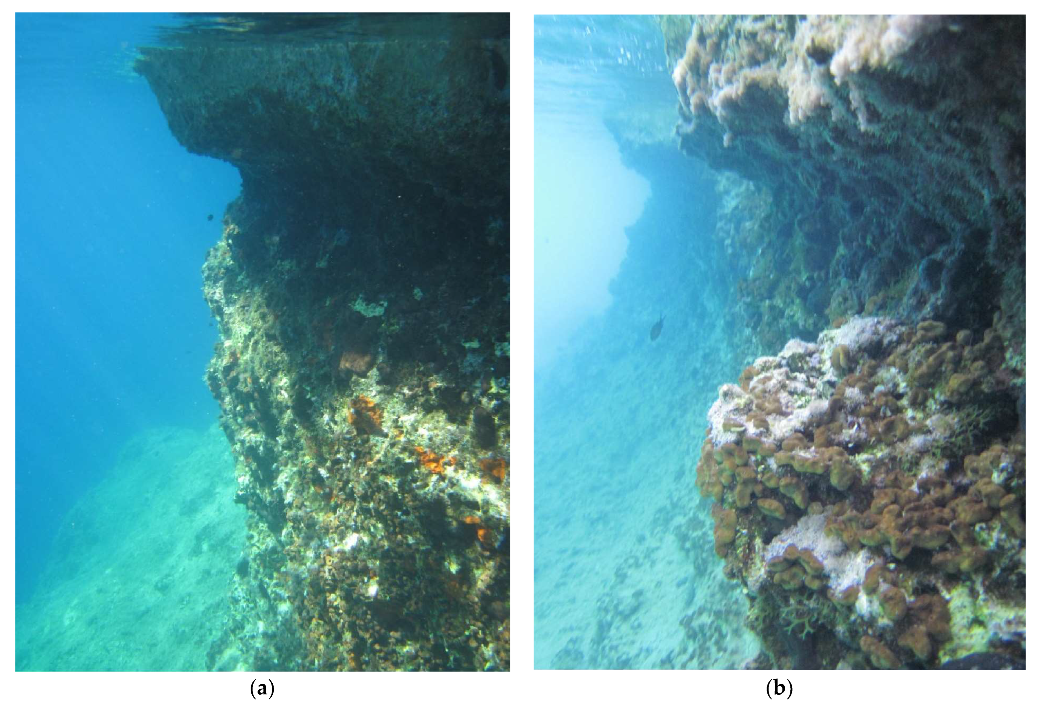 Geosciences 13 00329 g009 Geosciences 13 00329 g009