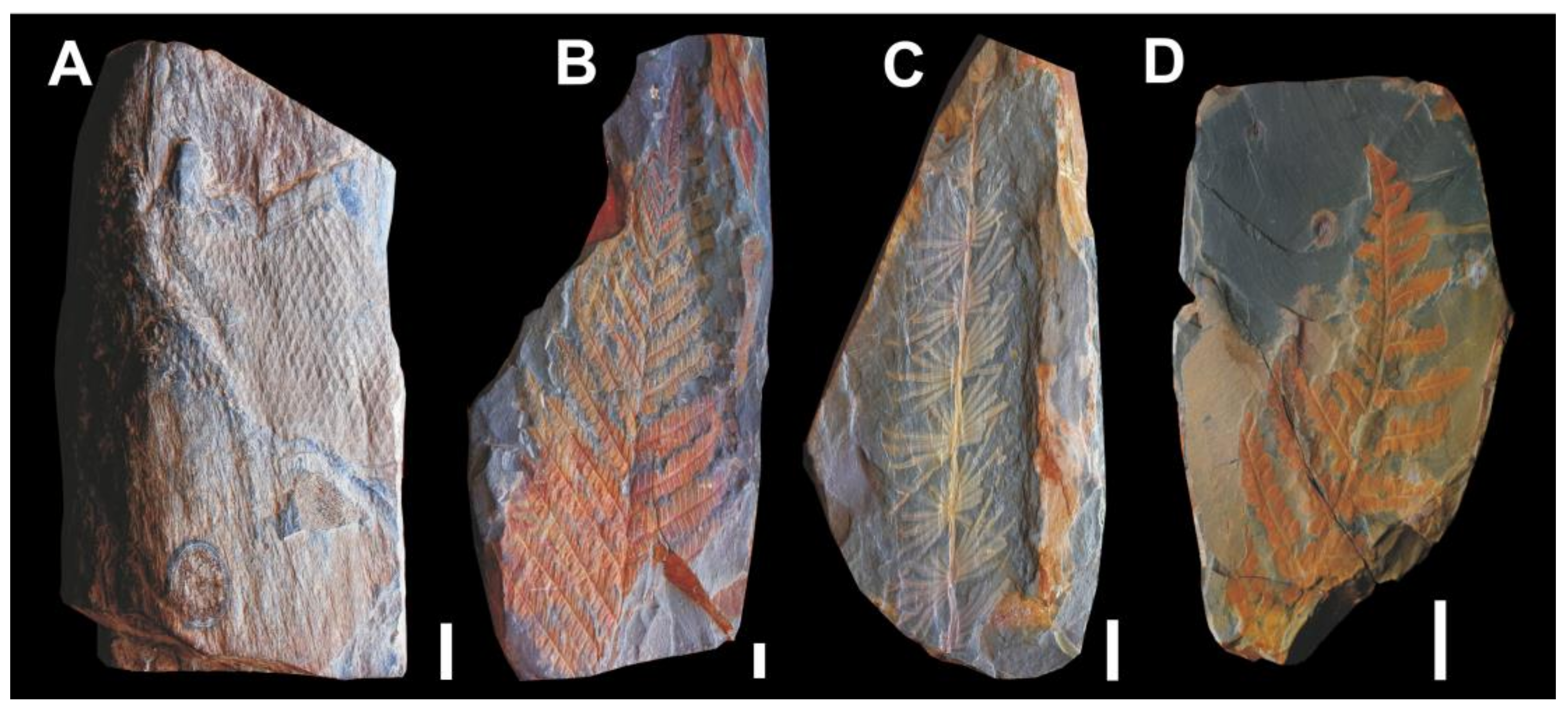 Geosciences 13 00332 g004