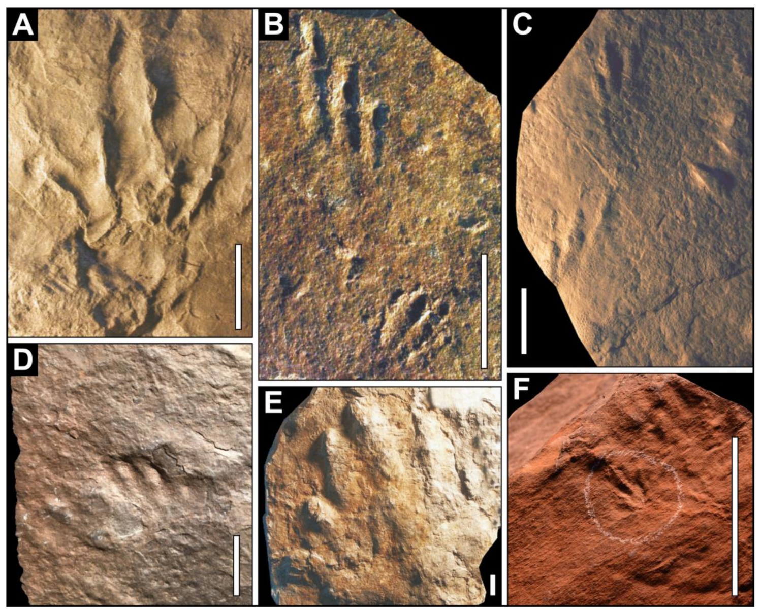 Geosciences 13 00332 g005
