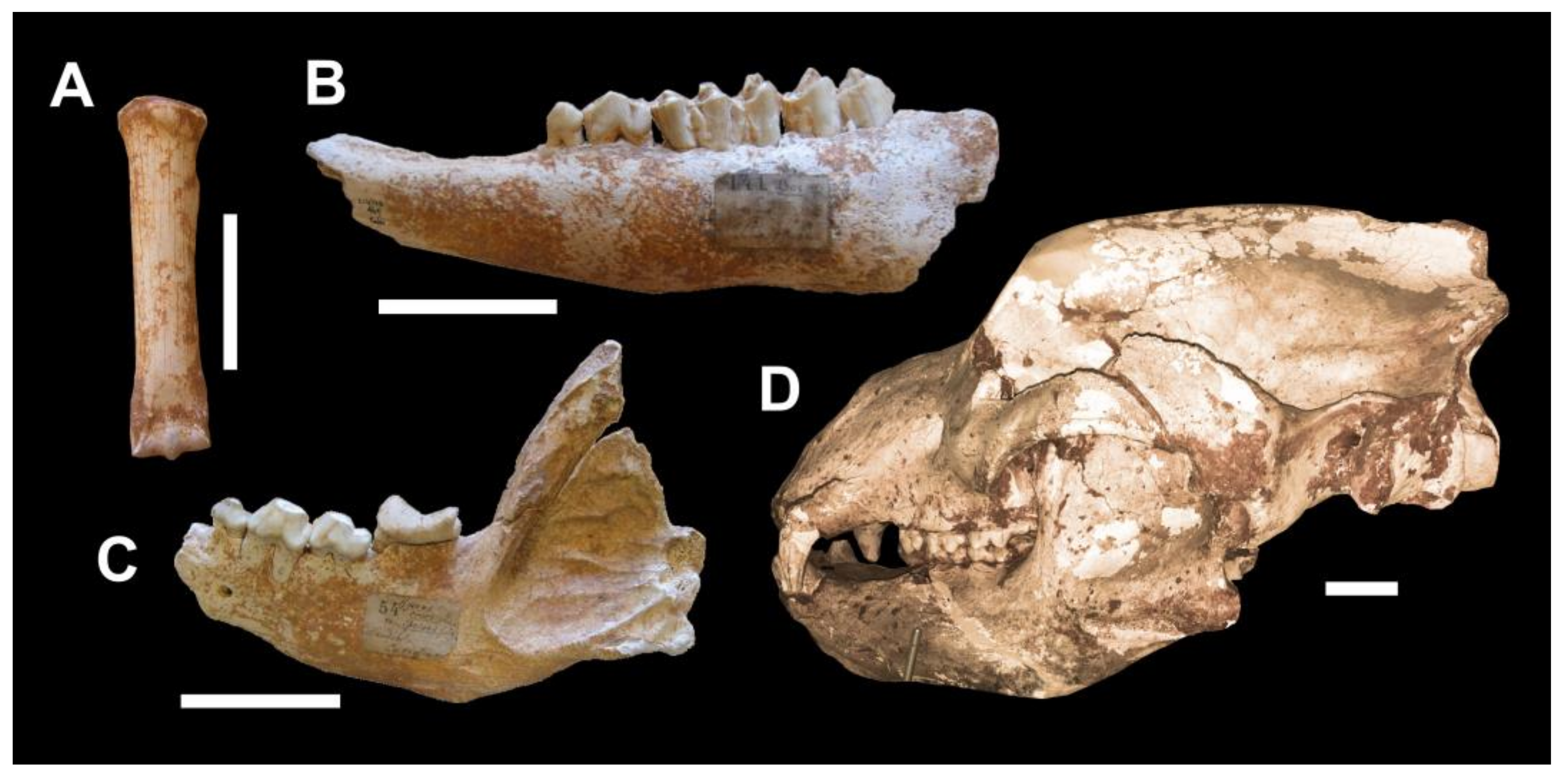 Geosciences 13 00332 g009
