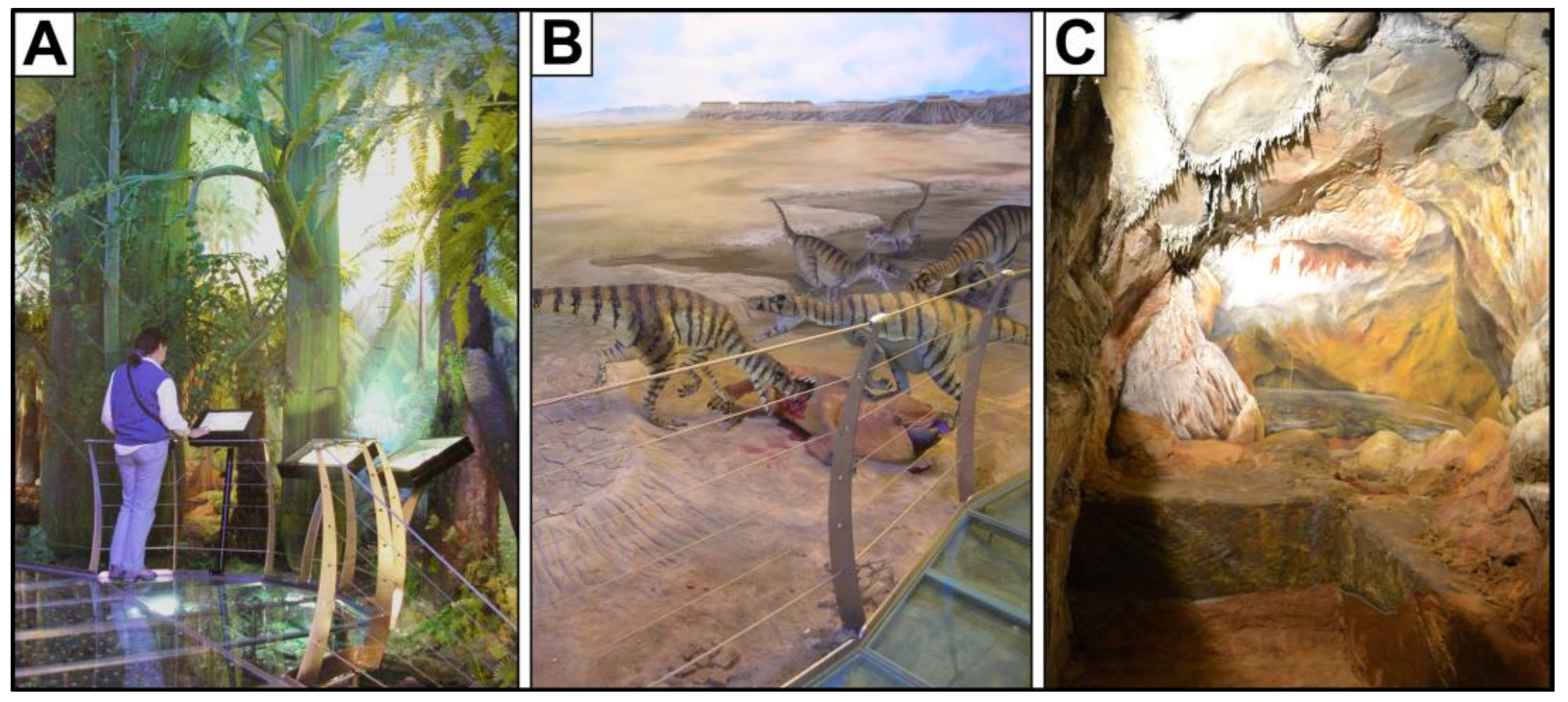 Geosciences 13 00332 g010