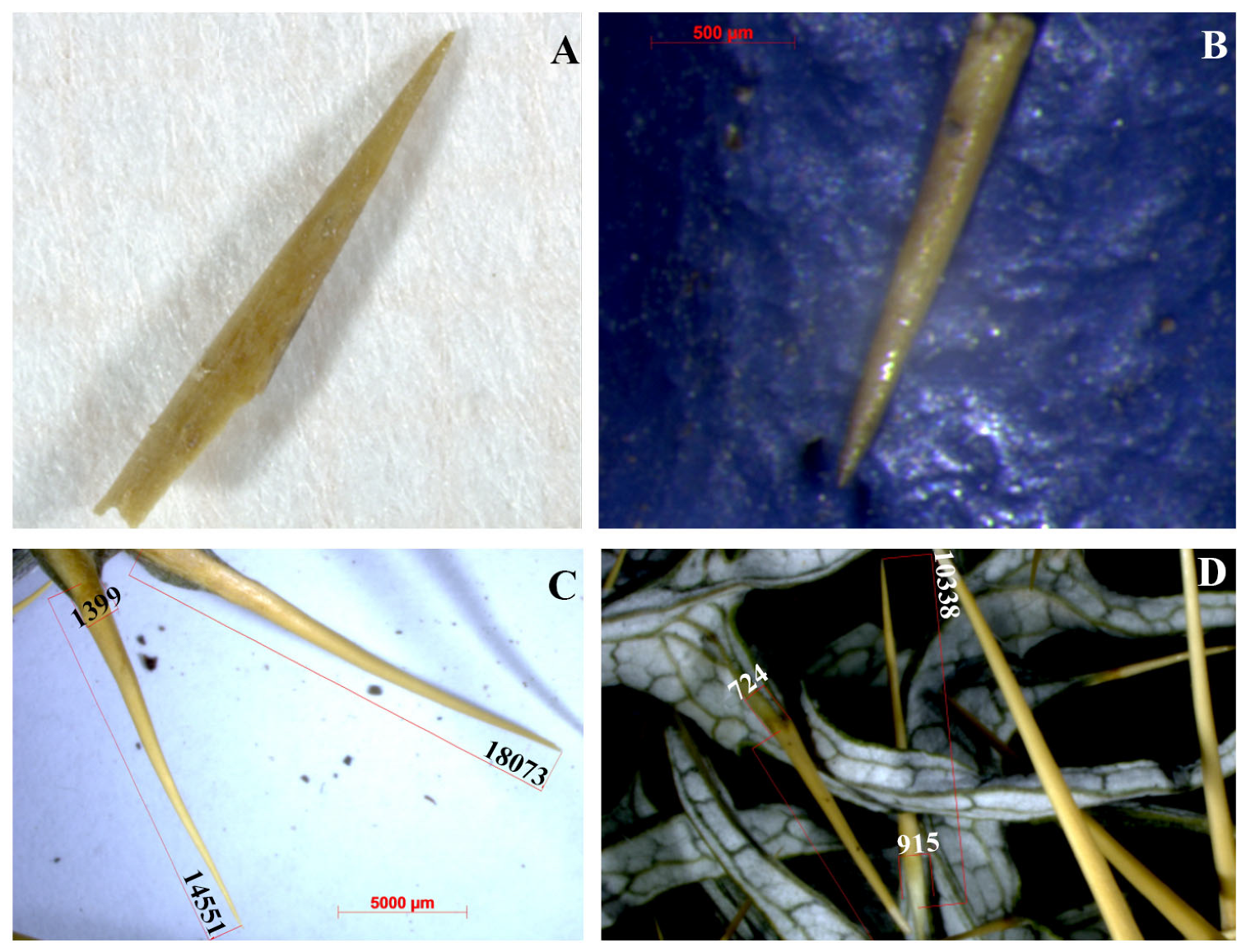 Geosciences 13 00335 g008 Geosciences 13 00335 g008