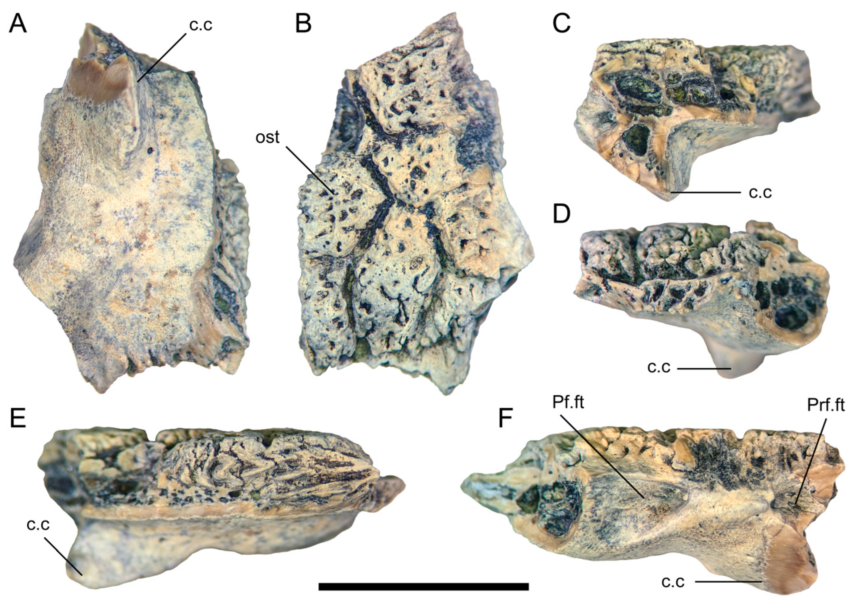 Geosciences 13 00337 g006