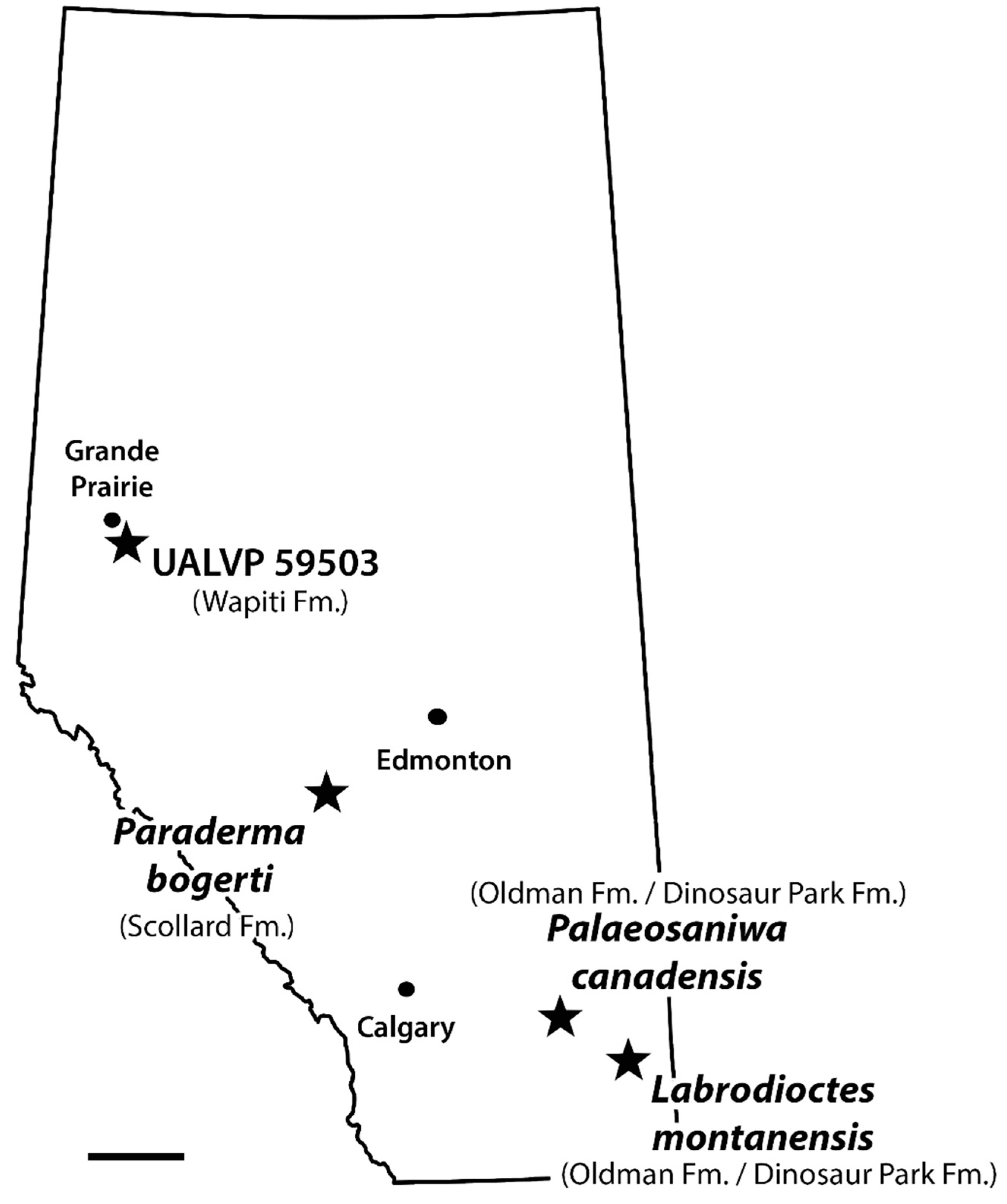 Geosciences 13 00337 g008