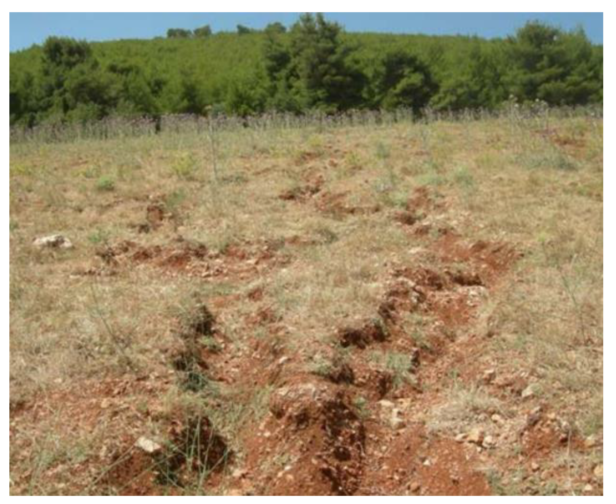 Geosciences 13 00338 g004 Geosciences 13 00338 g004