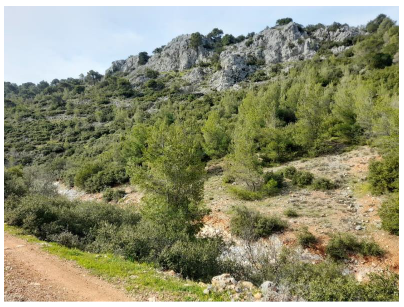 Geosciences 13 00338 g012 Geosciences 13 00338 g012