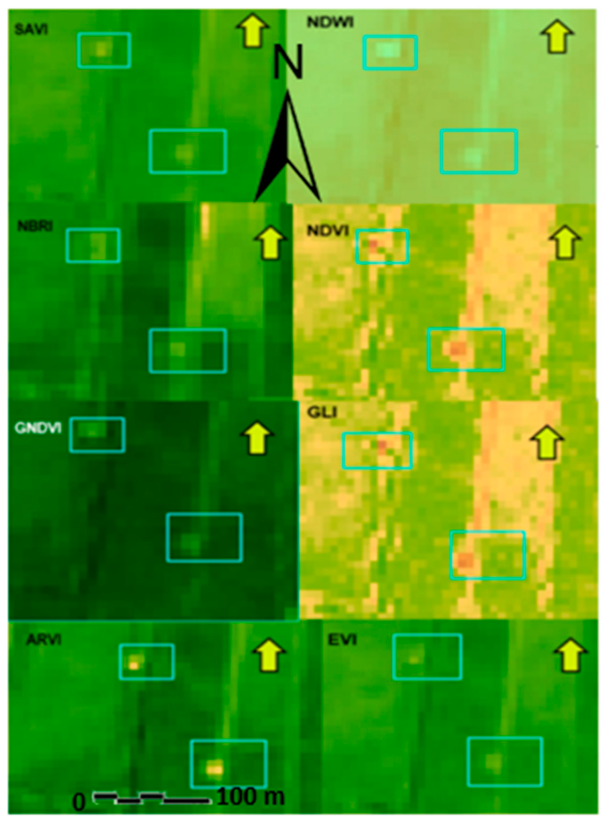 Geosciences 13 00358 g005