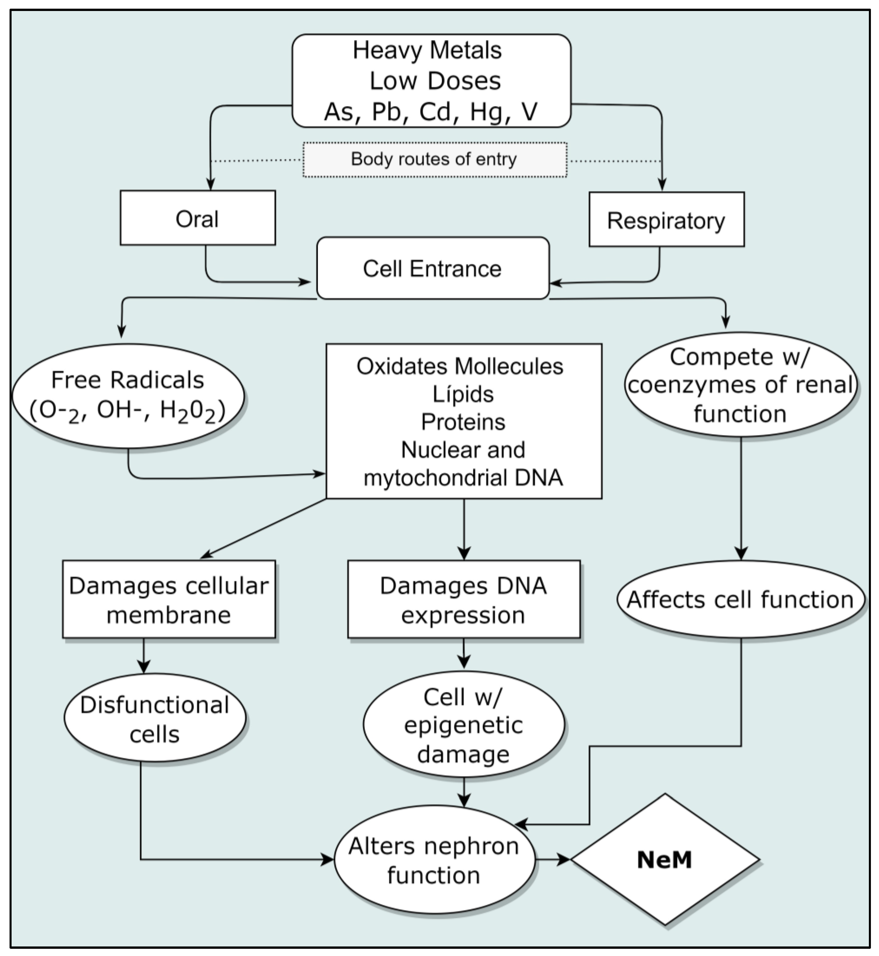 Geosciences 13 00360 g003