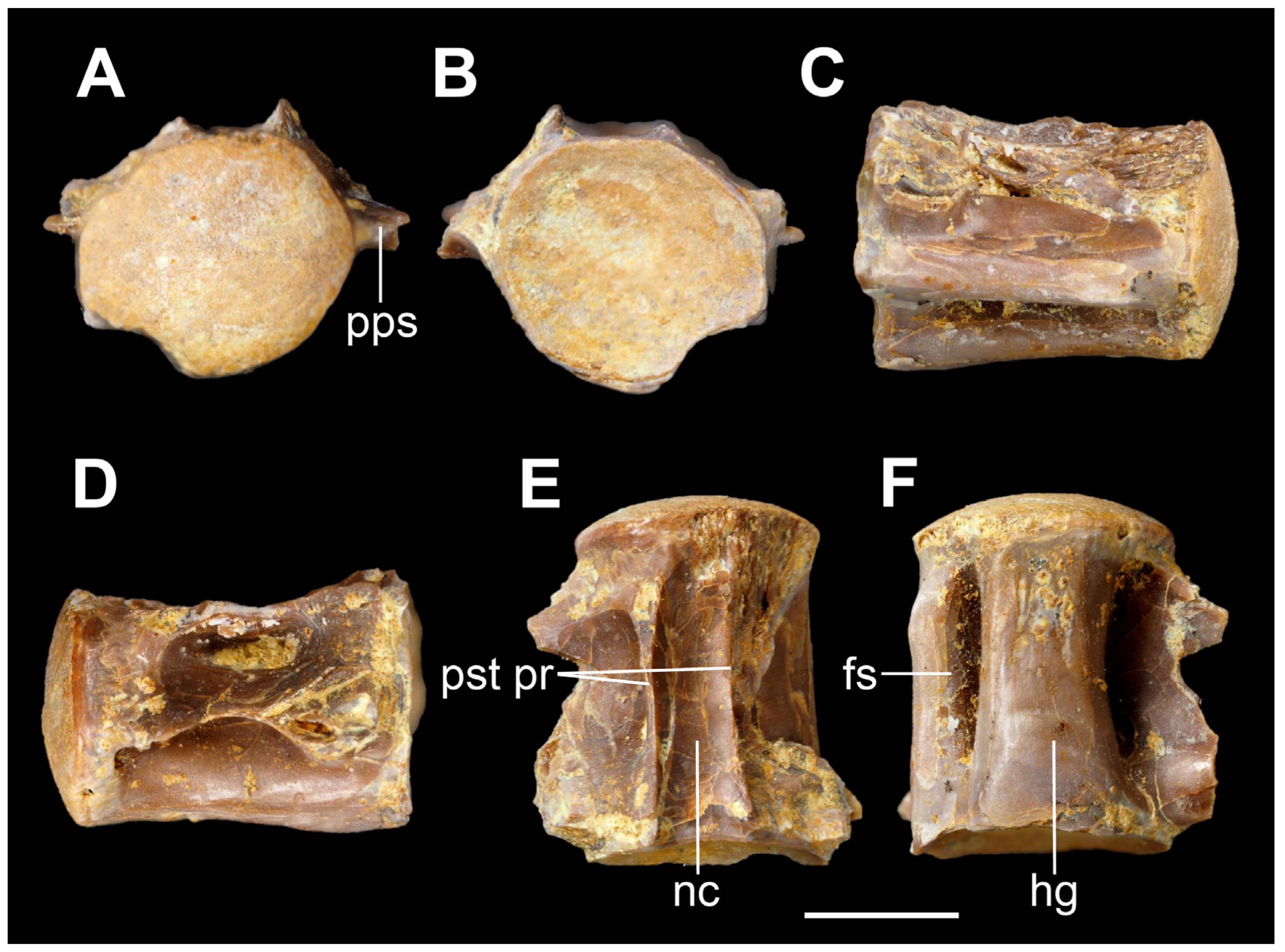 Geosciences 13 00372 g004