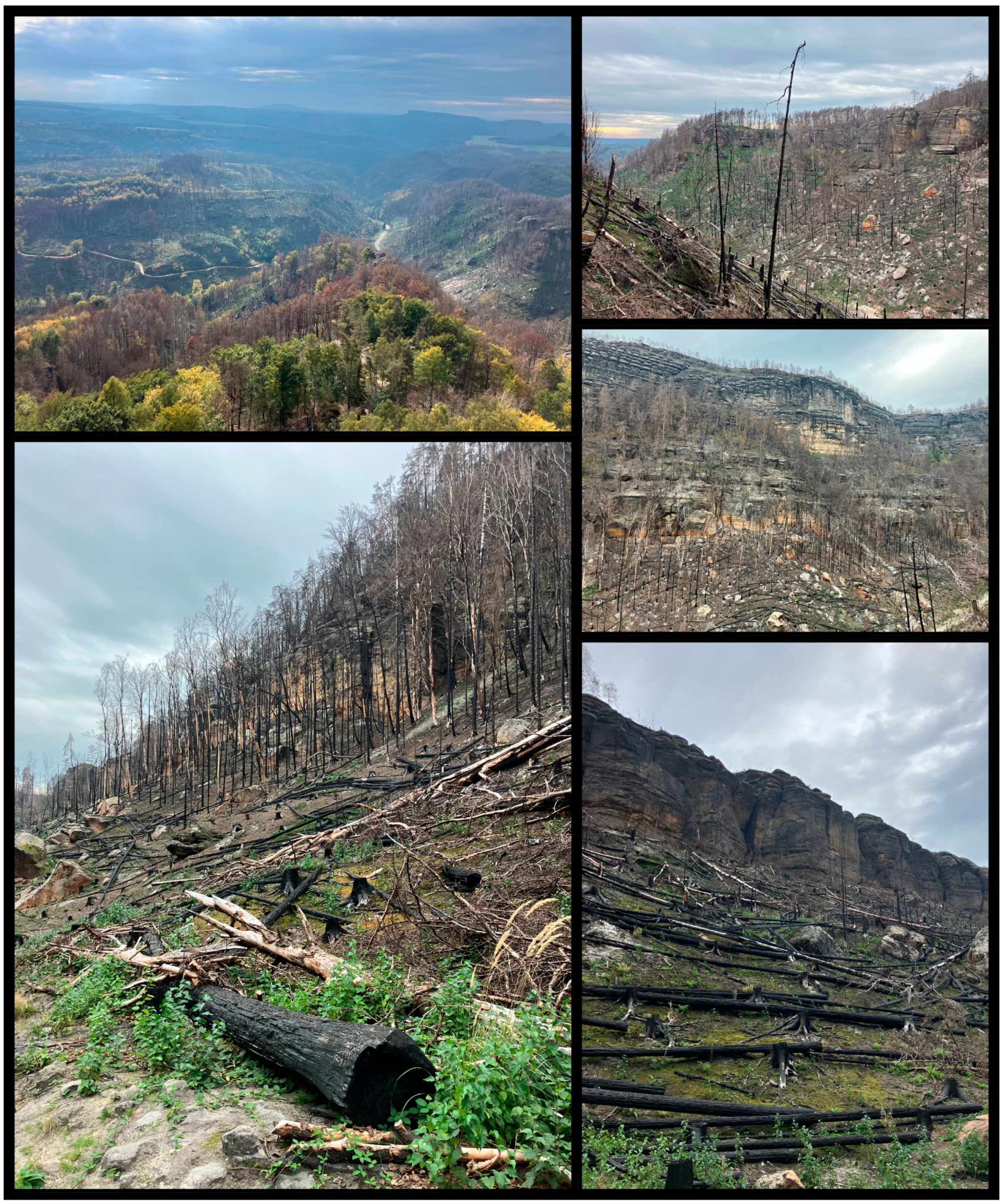 Geosciences 13 00383 g003